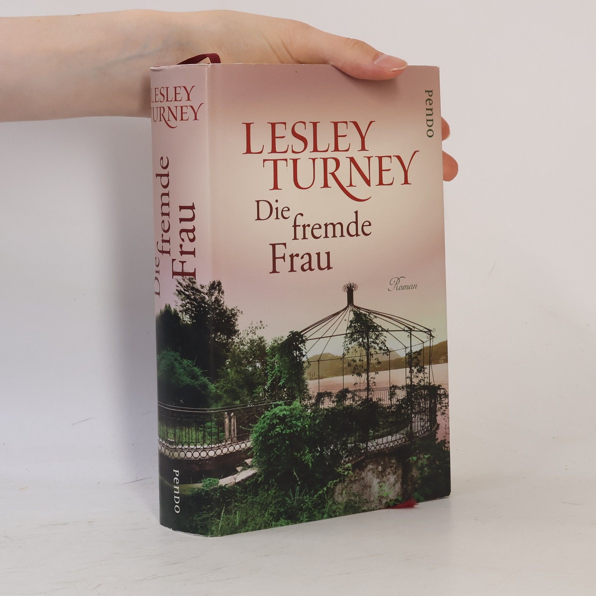 Lesley Turney Die fremde Frau