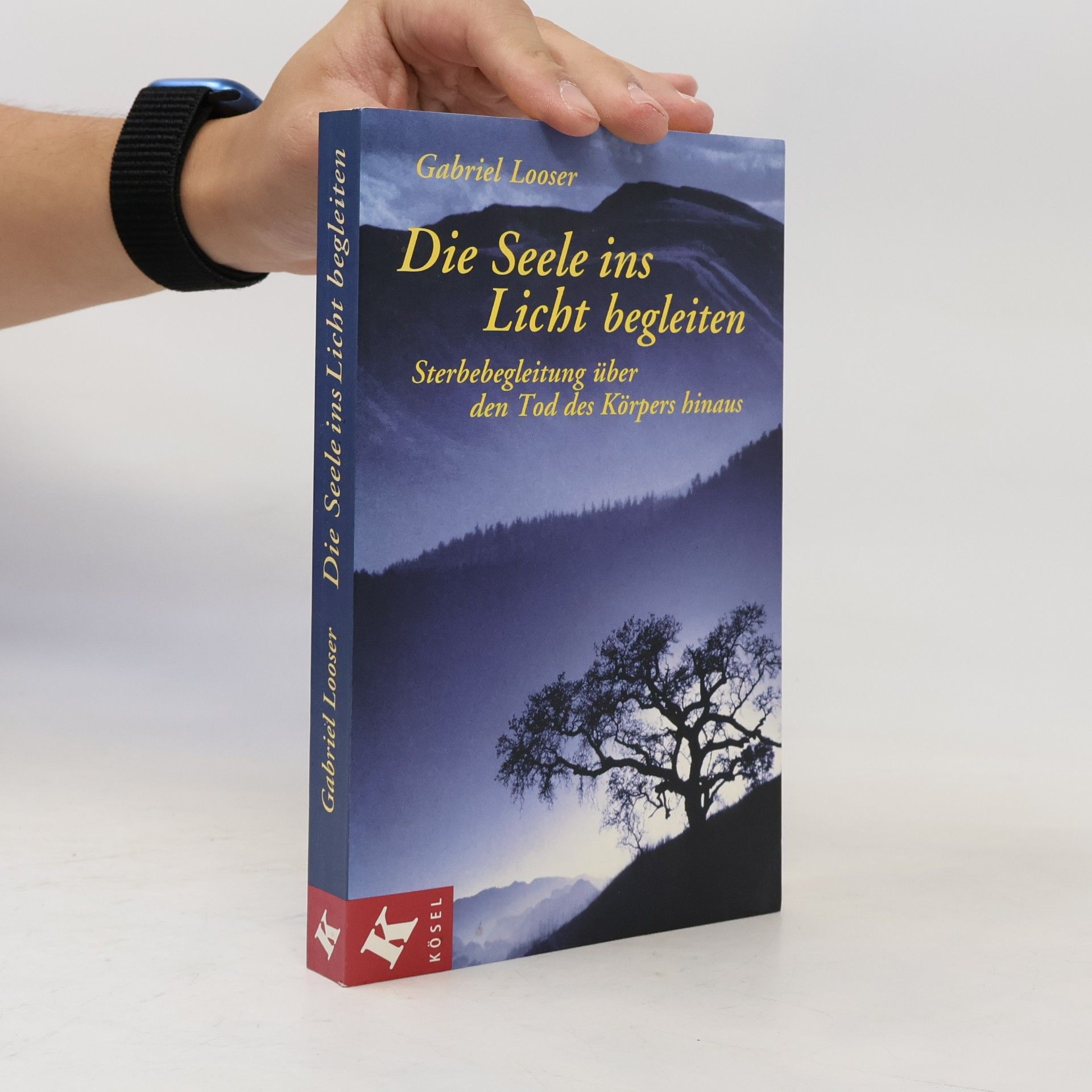Kolektiv autorů Die Seele ins Licht begleiten