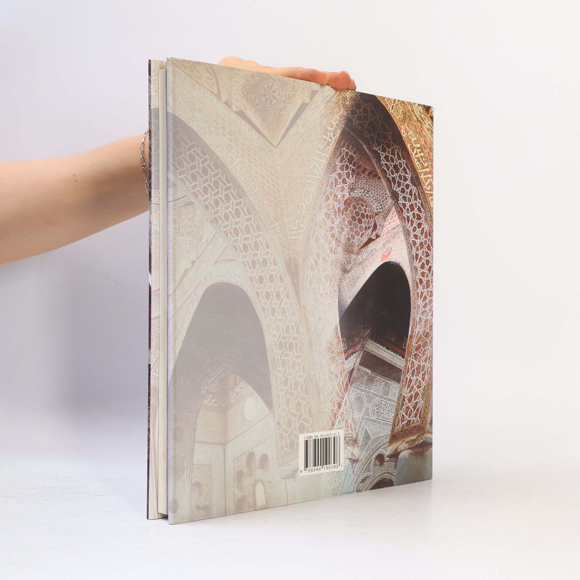 Roberto Nardi Madrasa Amiriya. La Conservazione delle Pitture Murali