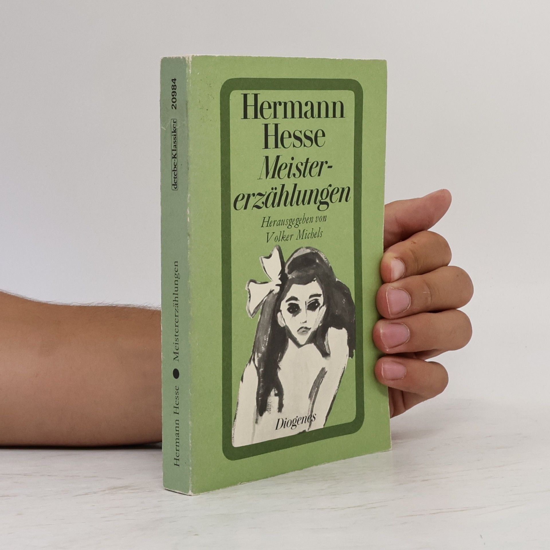 Hermann Hesse Meistererzählungen