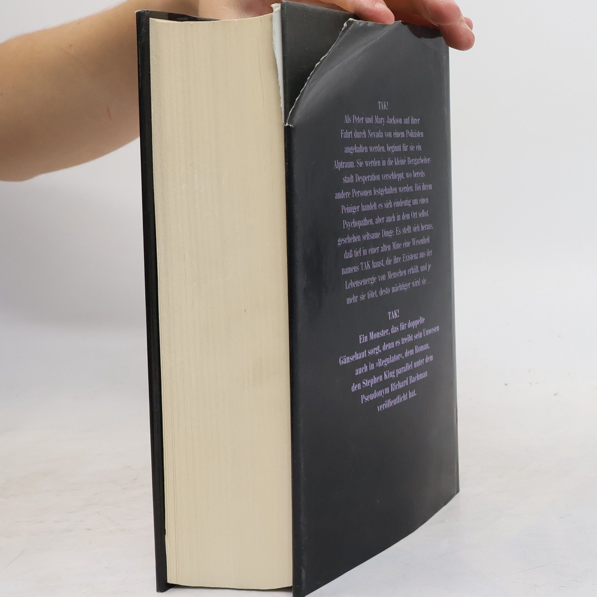 Stephen King Desperation : Roman