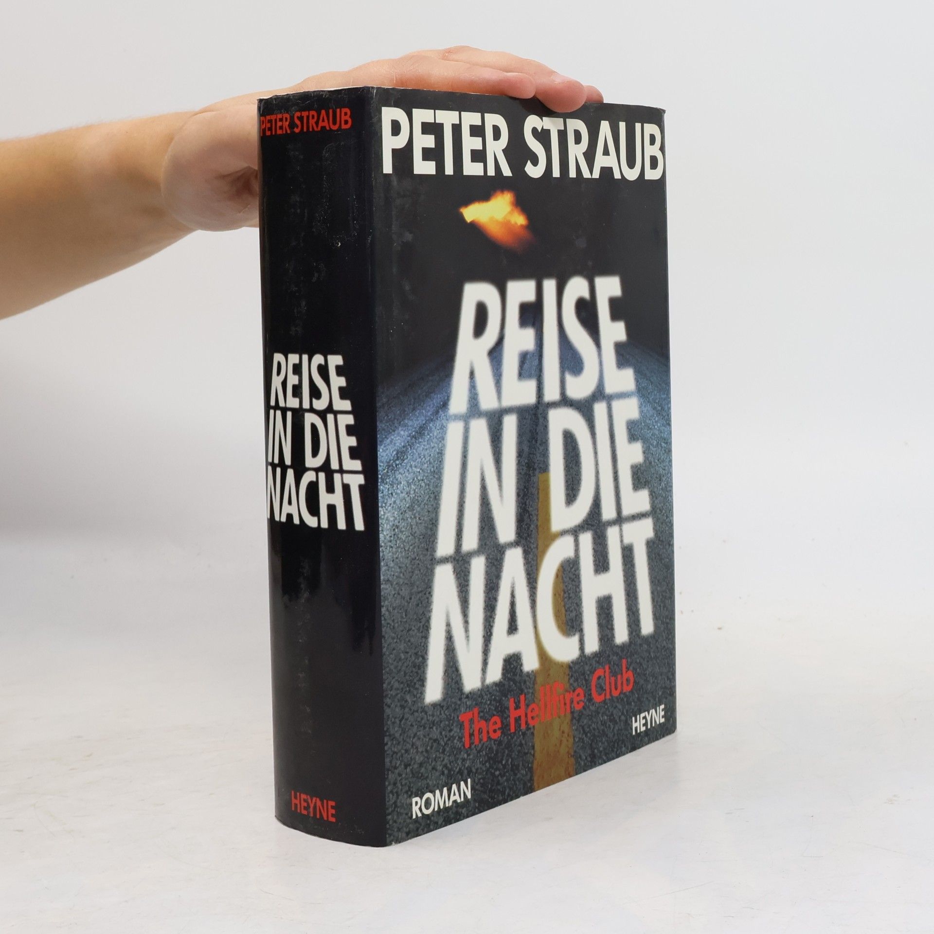 Peter Straub Reise in die Nacht