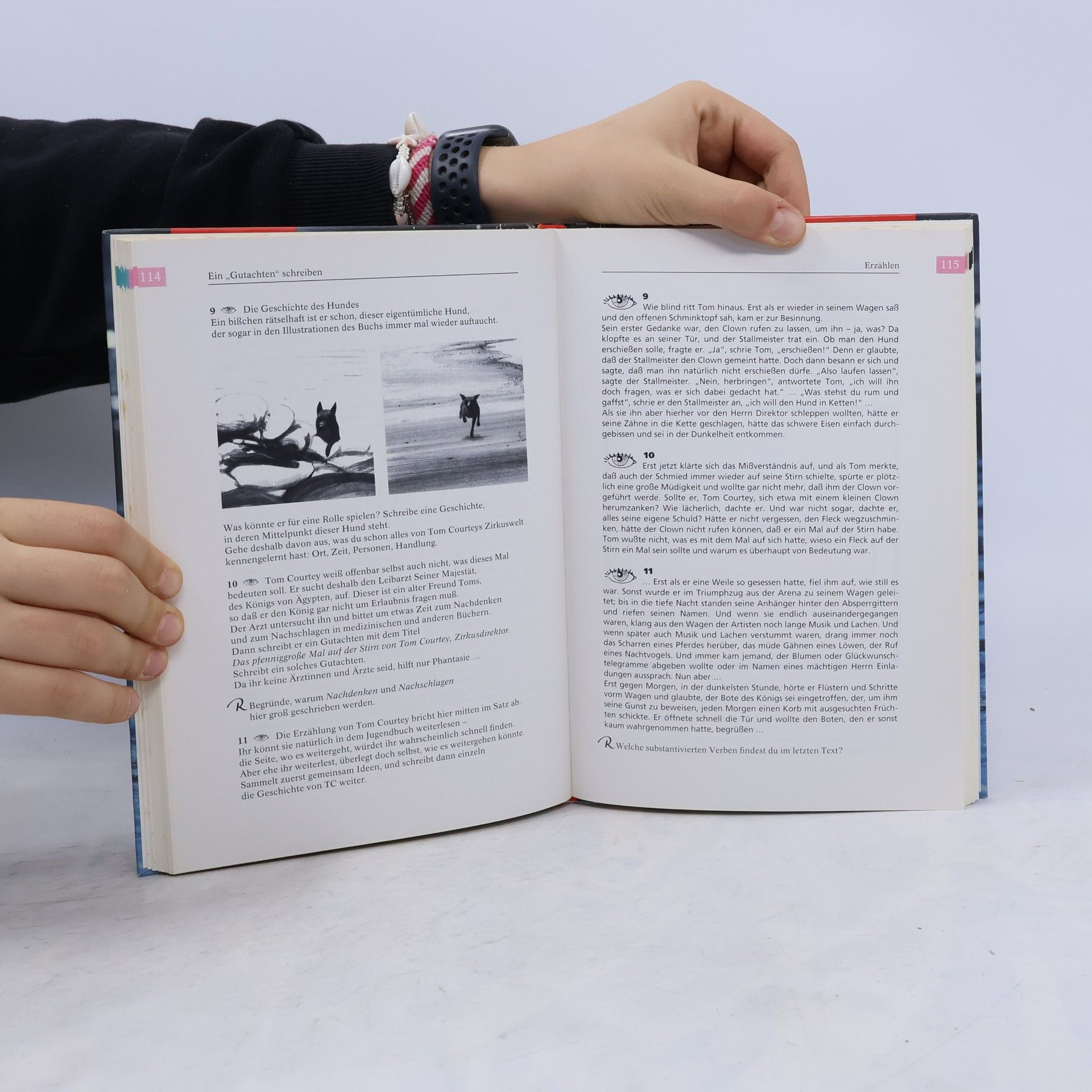 Klartext - Sprachbuch für Gymnasien