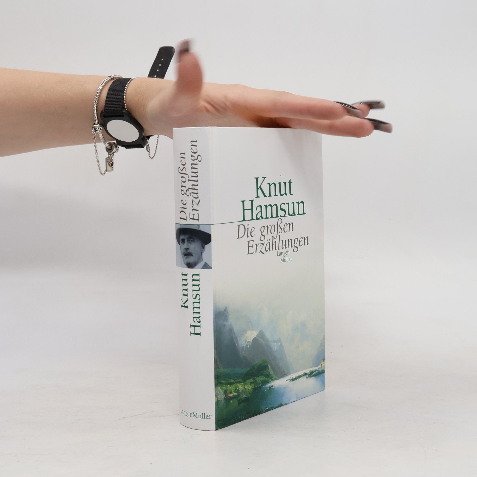 Knut Hamsun Die großen Erzählungen