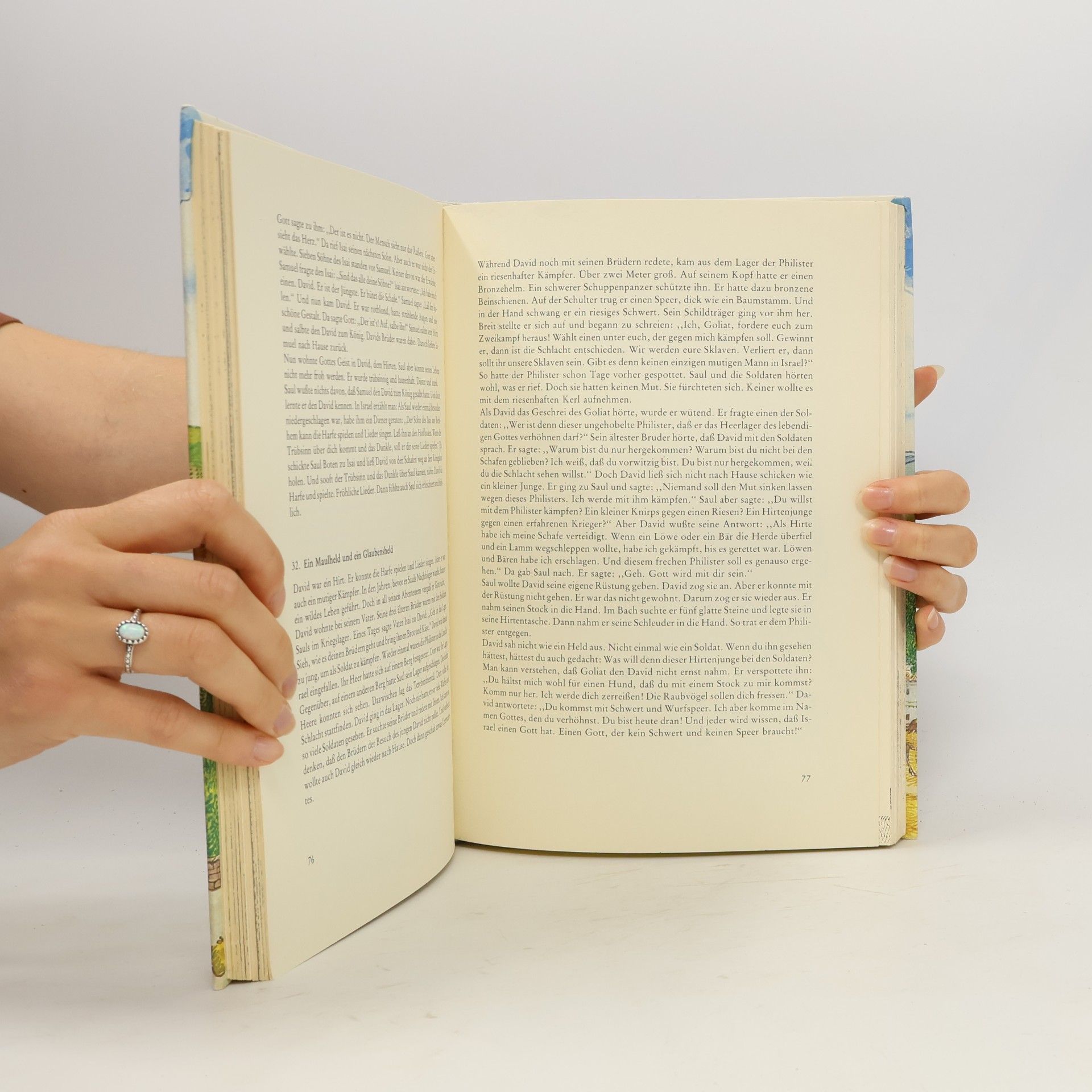 Sipke van der Land Meine Bilderbibel