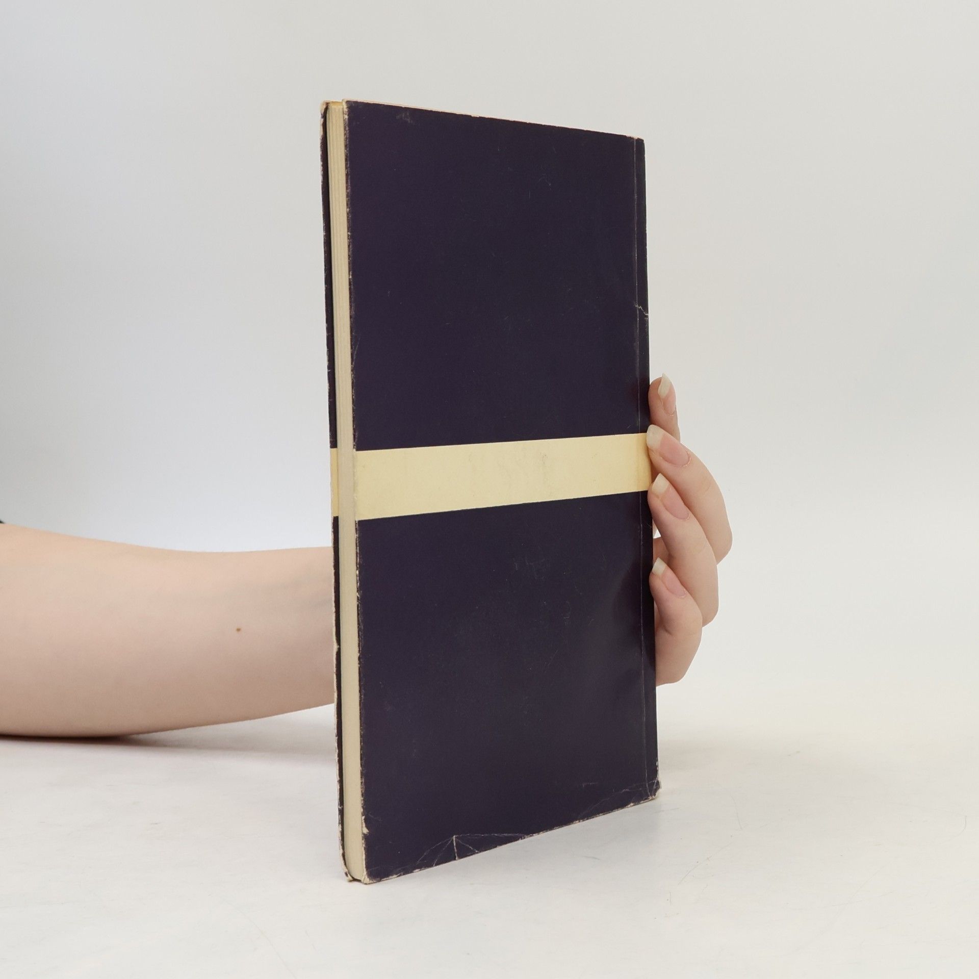 Paul Tillich Biblische Religion und die Frage nach dem Sein