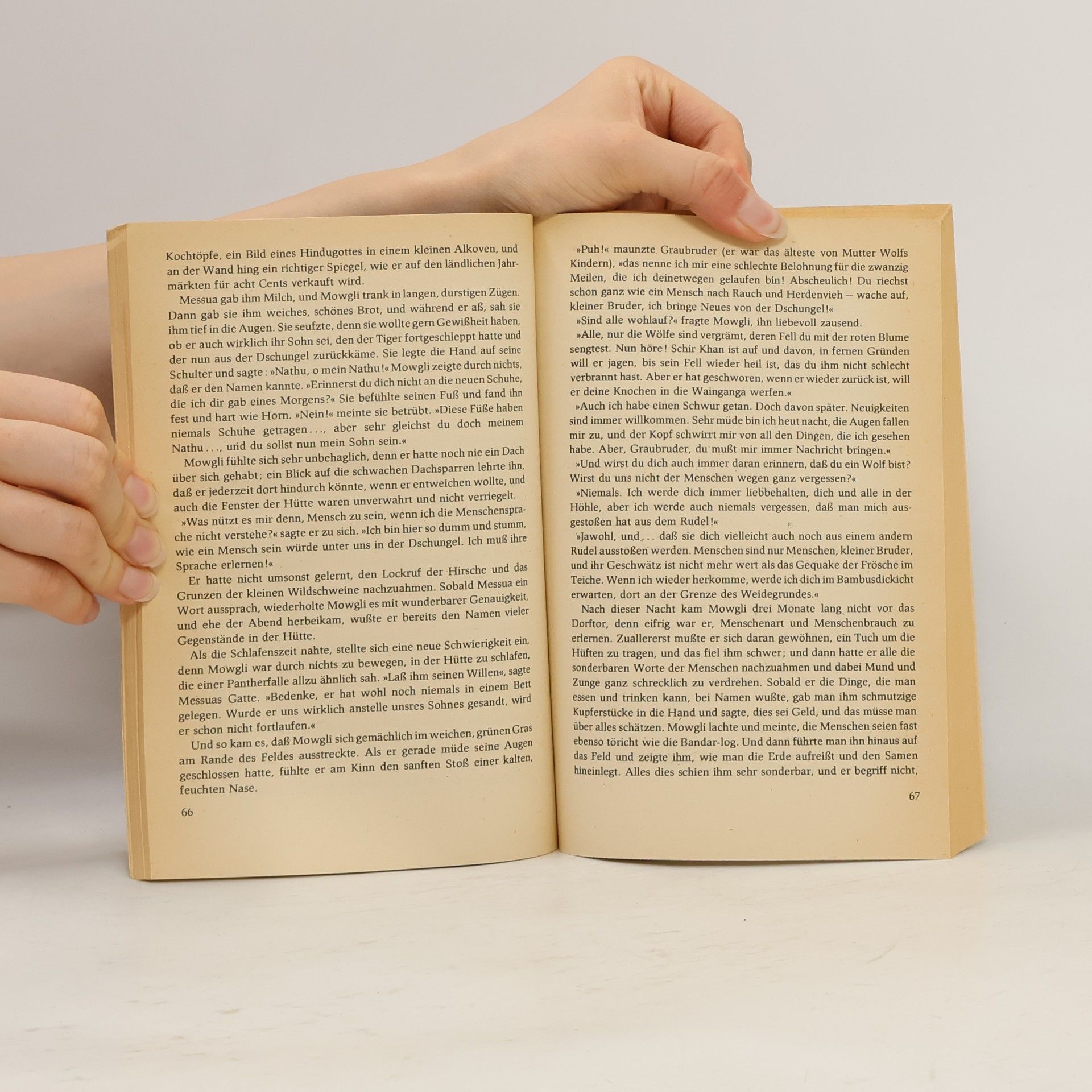 Rudyard Kipling Das Dschungelbuch