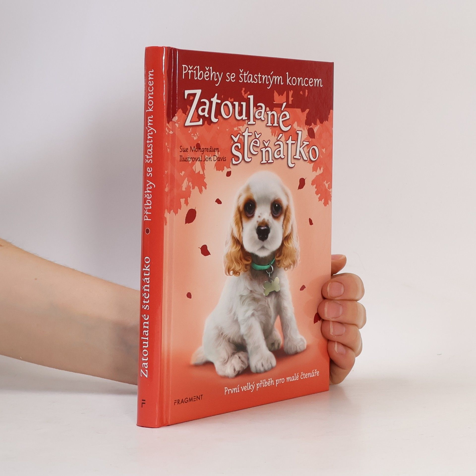 Jon Davis Zatoulané štěňátko