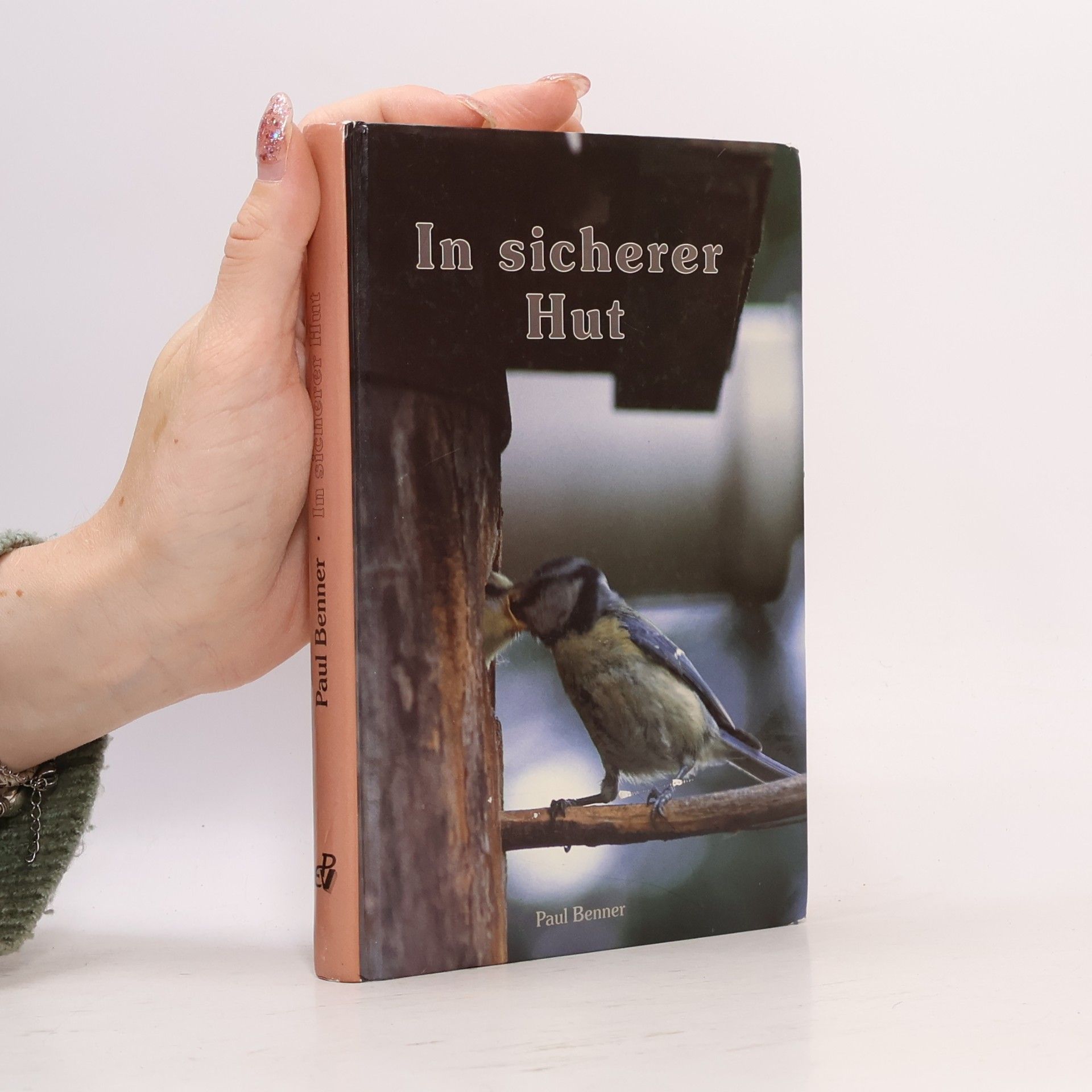 Paul Benner In sicherer Hut