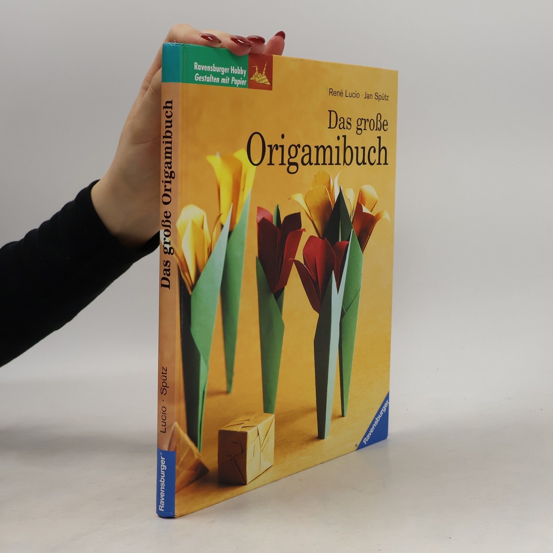 Rene Lucio Das große Origamibuch