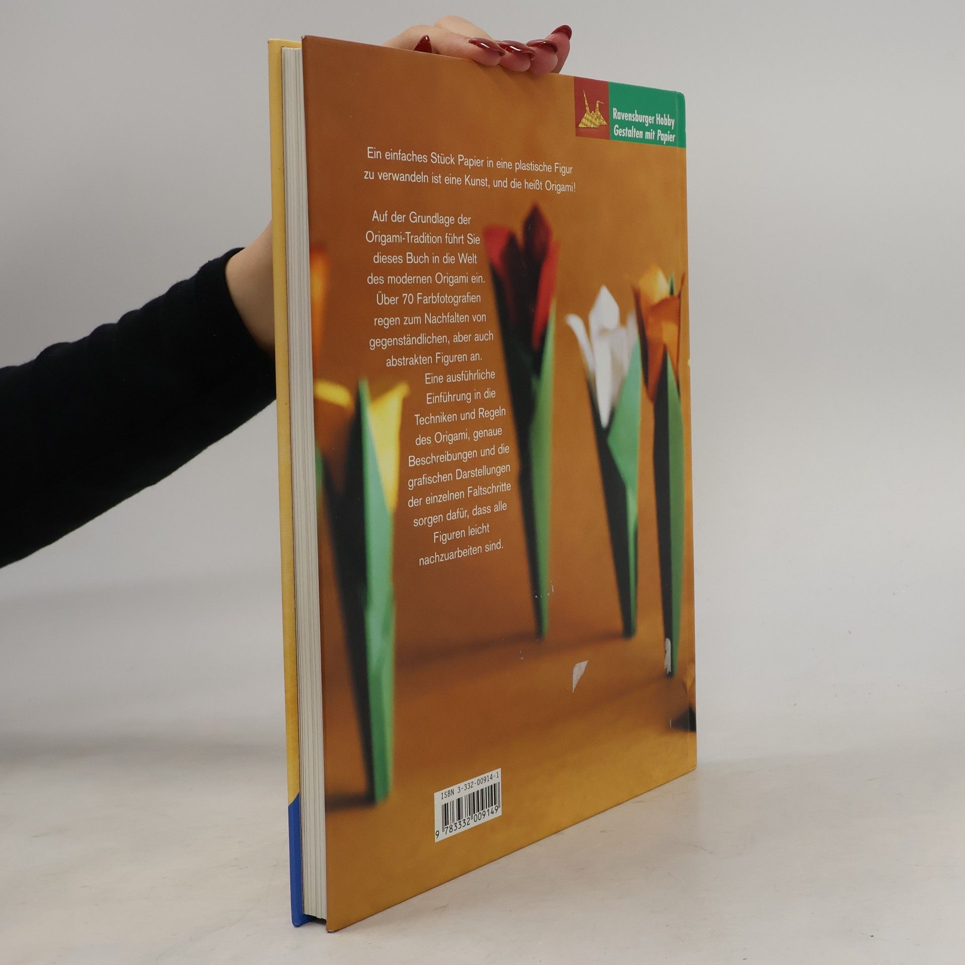 Rene Lucio Das große Origamibuch