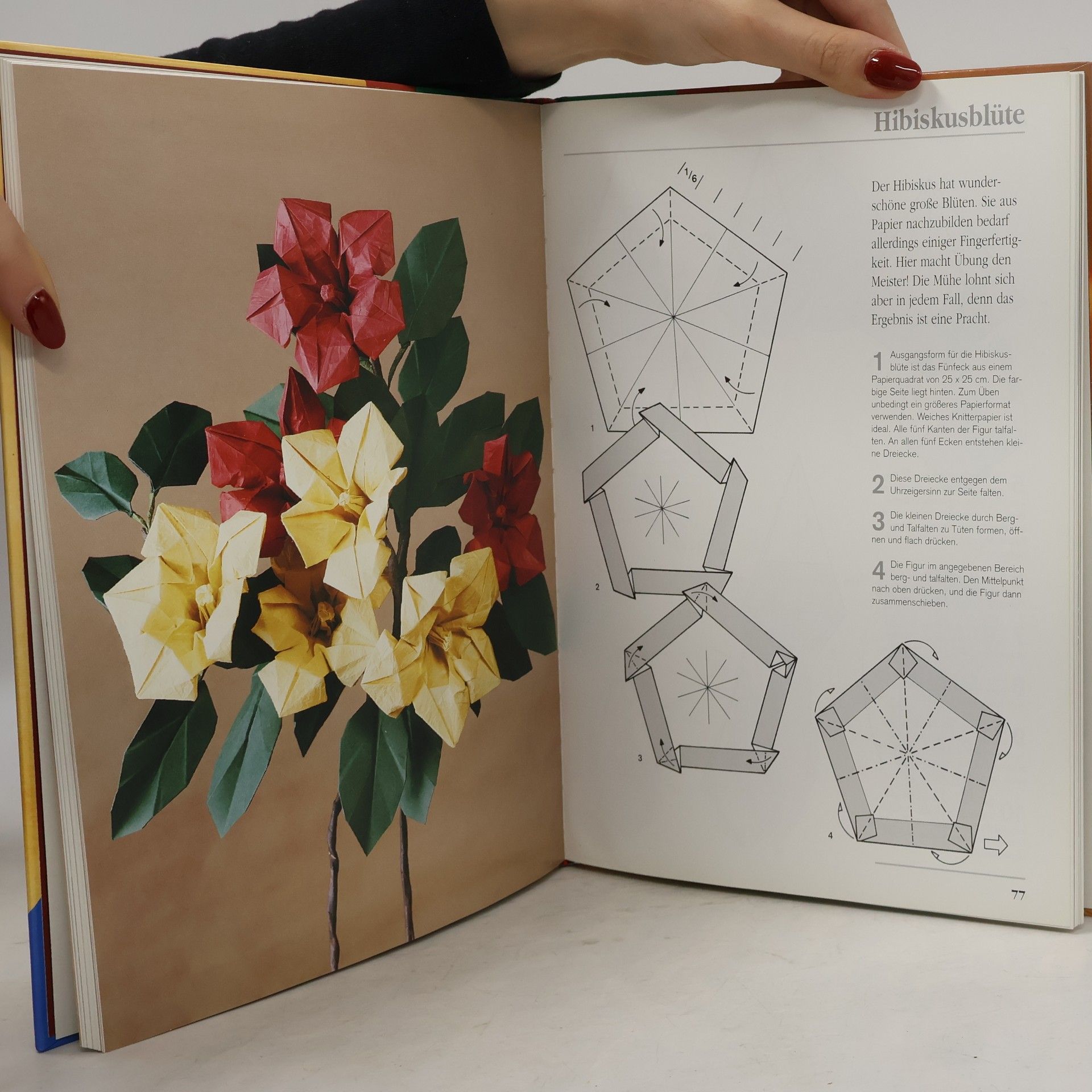 Rene Lucio Das große Origamibuch