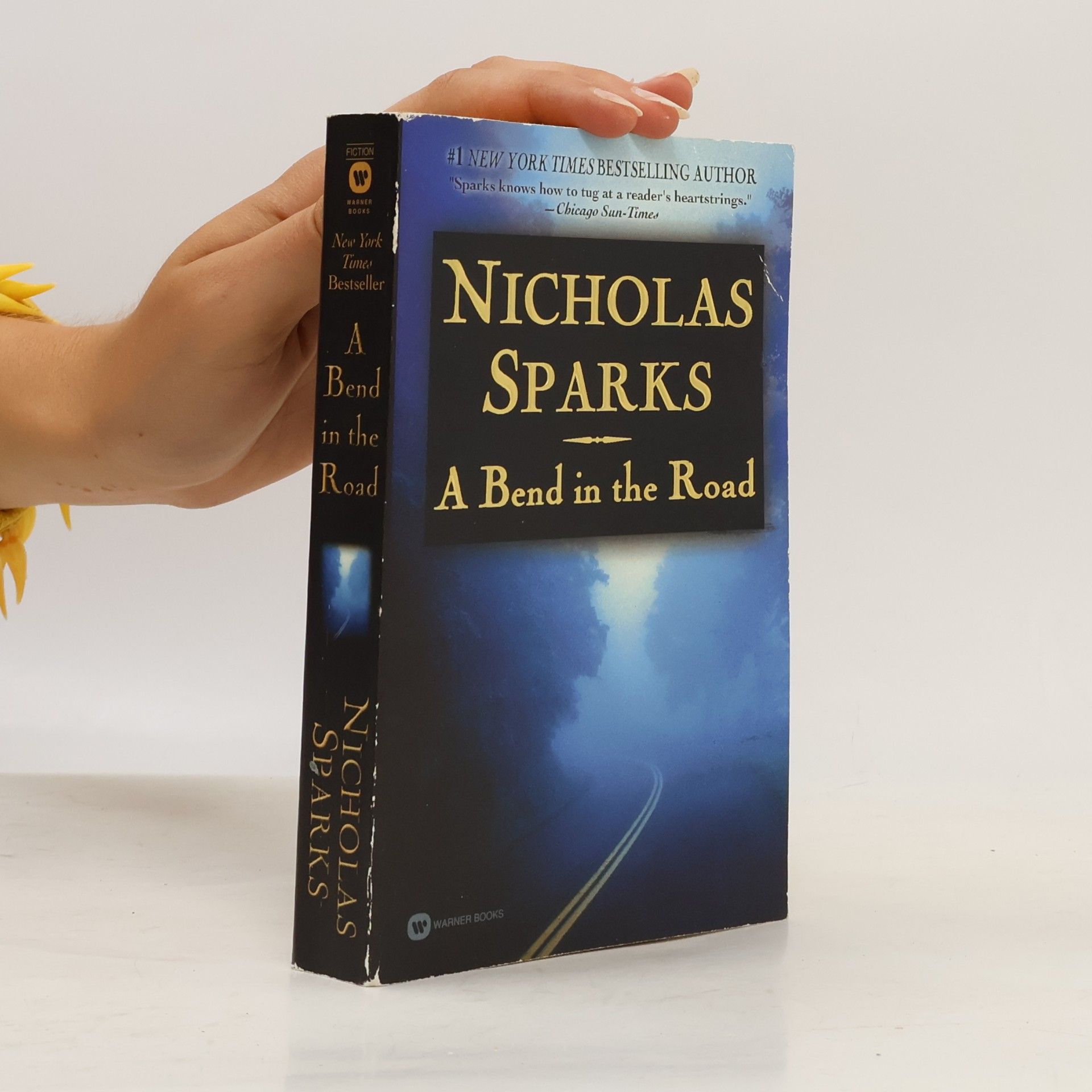 Nicholas Sparks A Bend in the Road