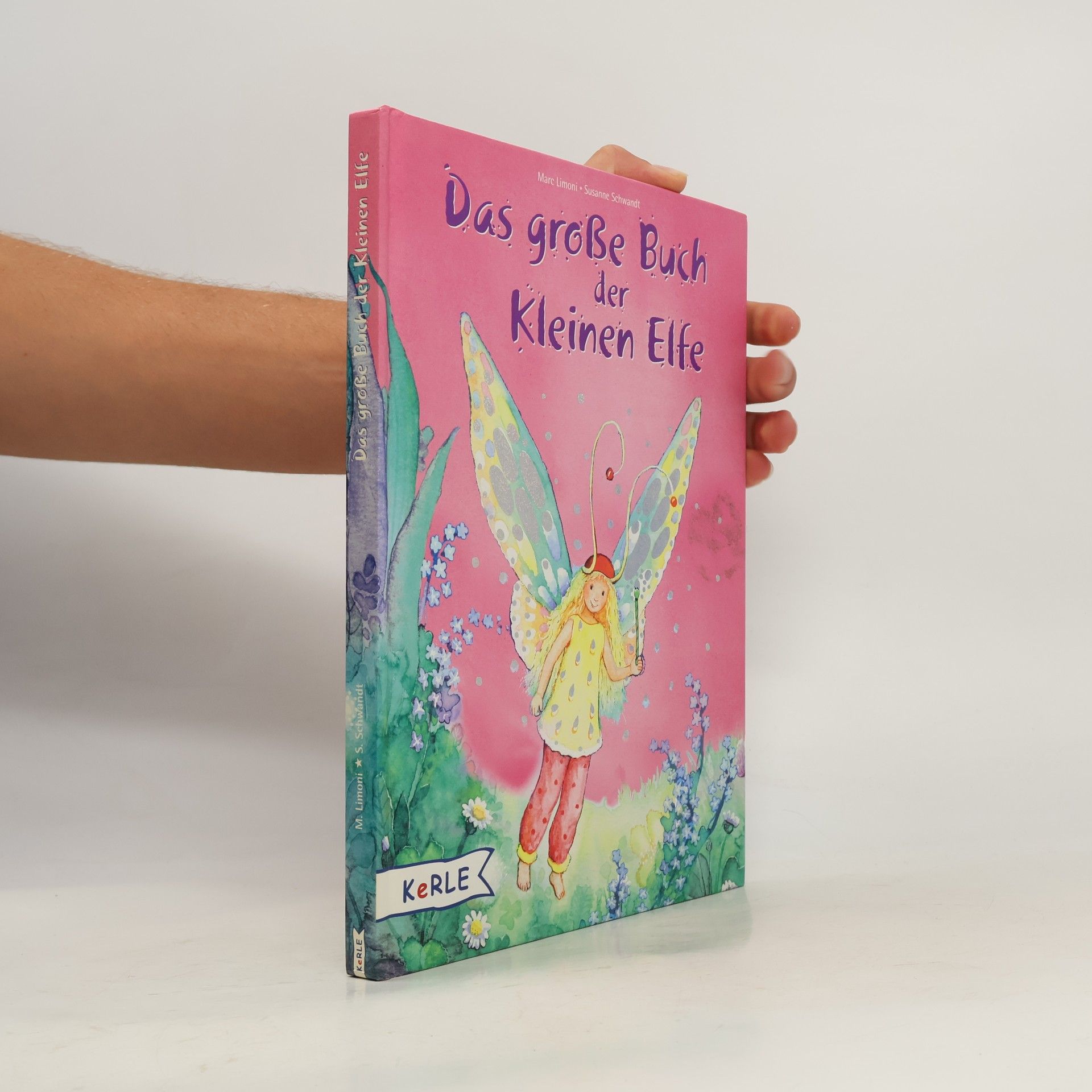 Das große Buch der kleinen Elfe
