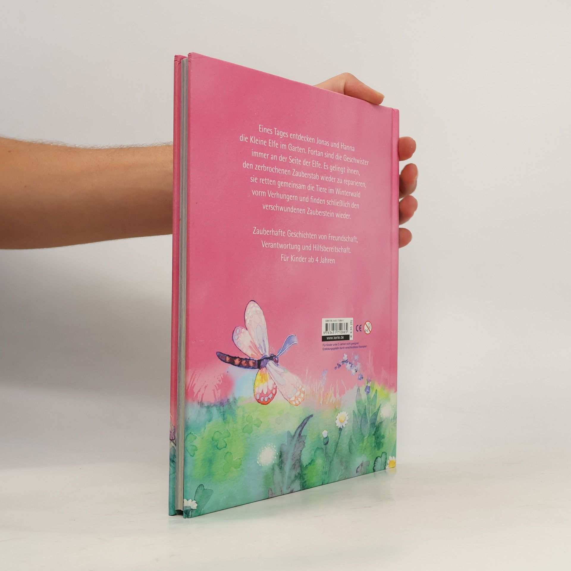 Marc Limoni Das große Buch der kleinen Elfe