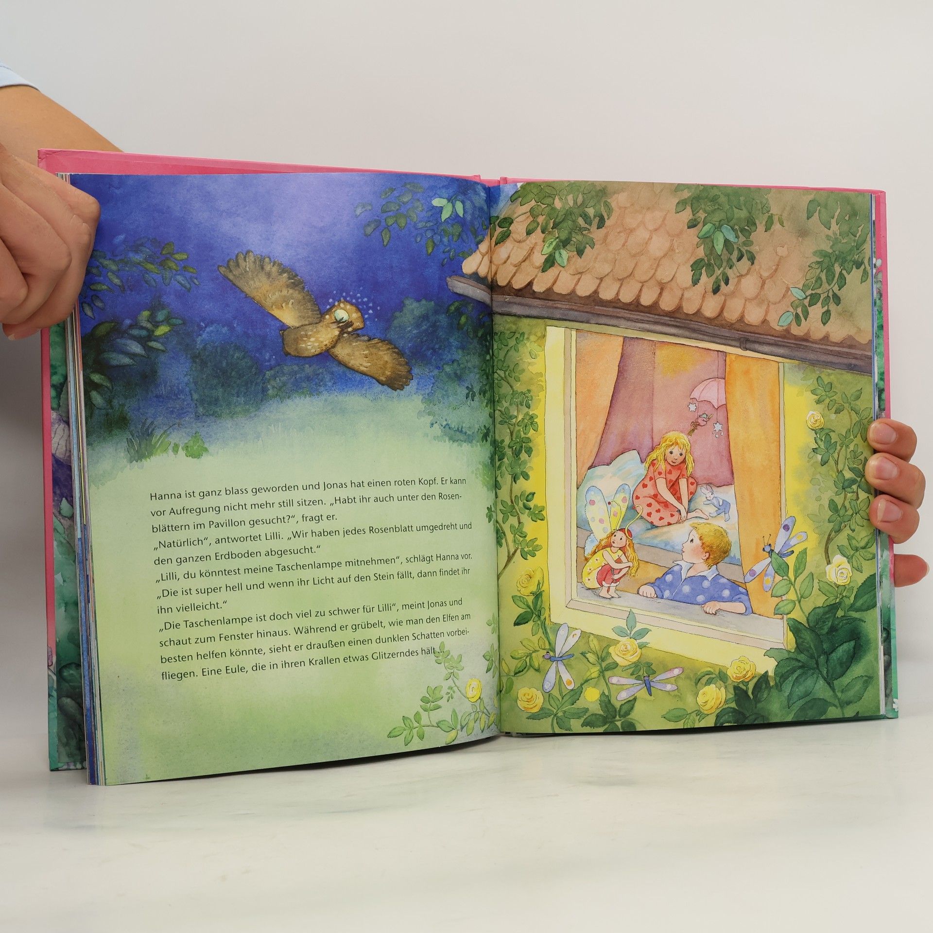 Marc Limoni Das große Buch der kleinen Elfe