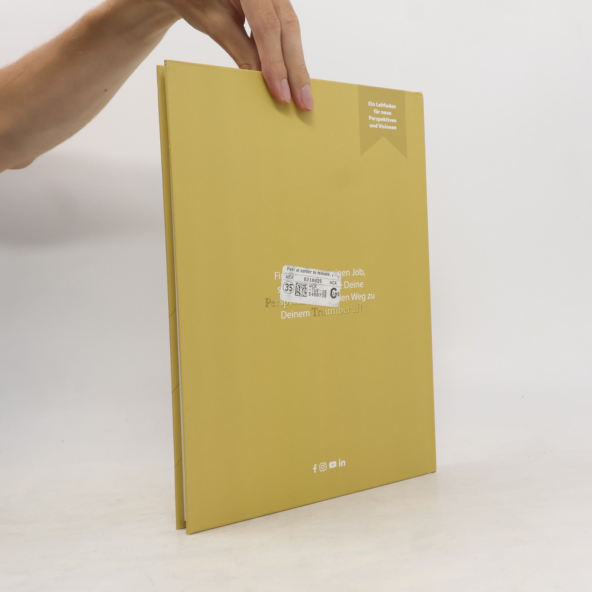 Sylvia Domack Das Arbeitsbuch Perfect Job Match