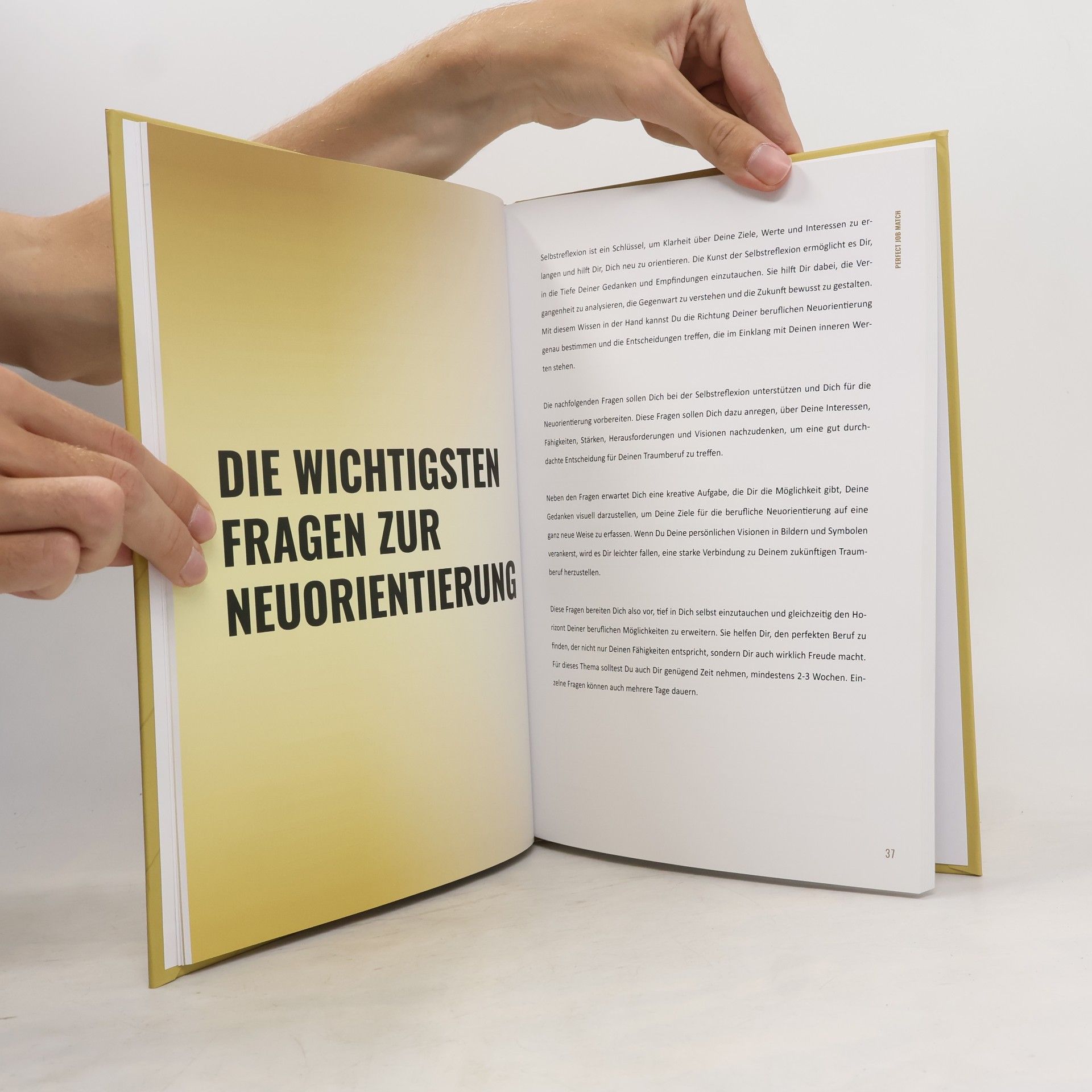 Sylvia Domack Das Arbeitsbuch Perfect Job Match