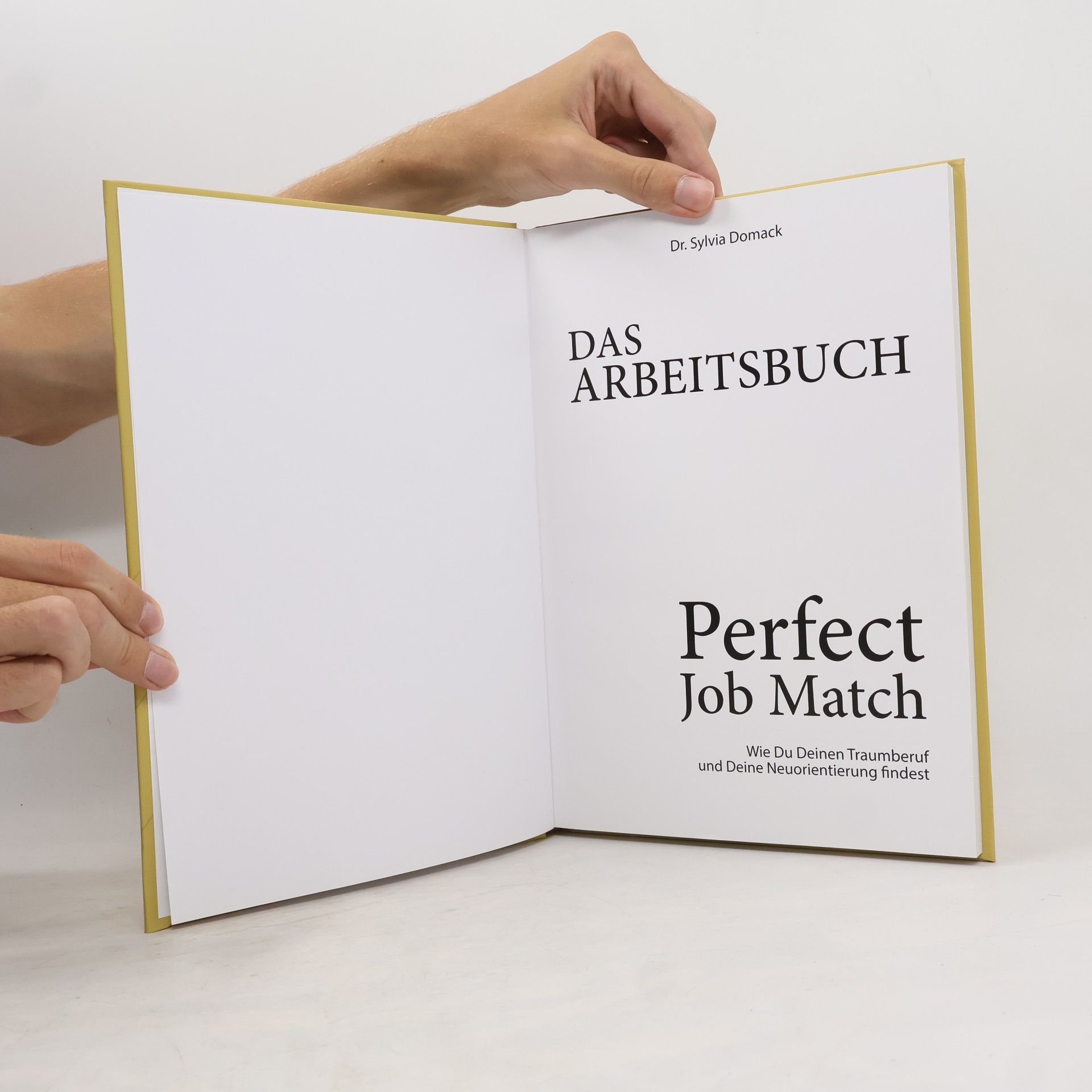 Sylvia Domack Das Arbeitsbuch Perfect Job Match
