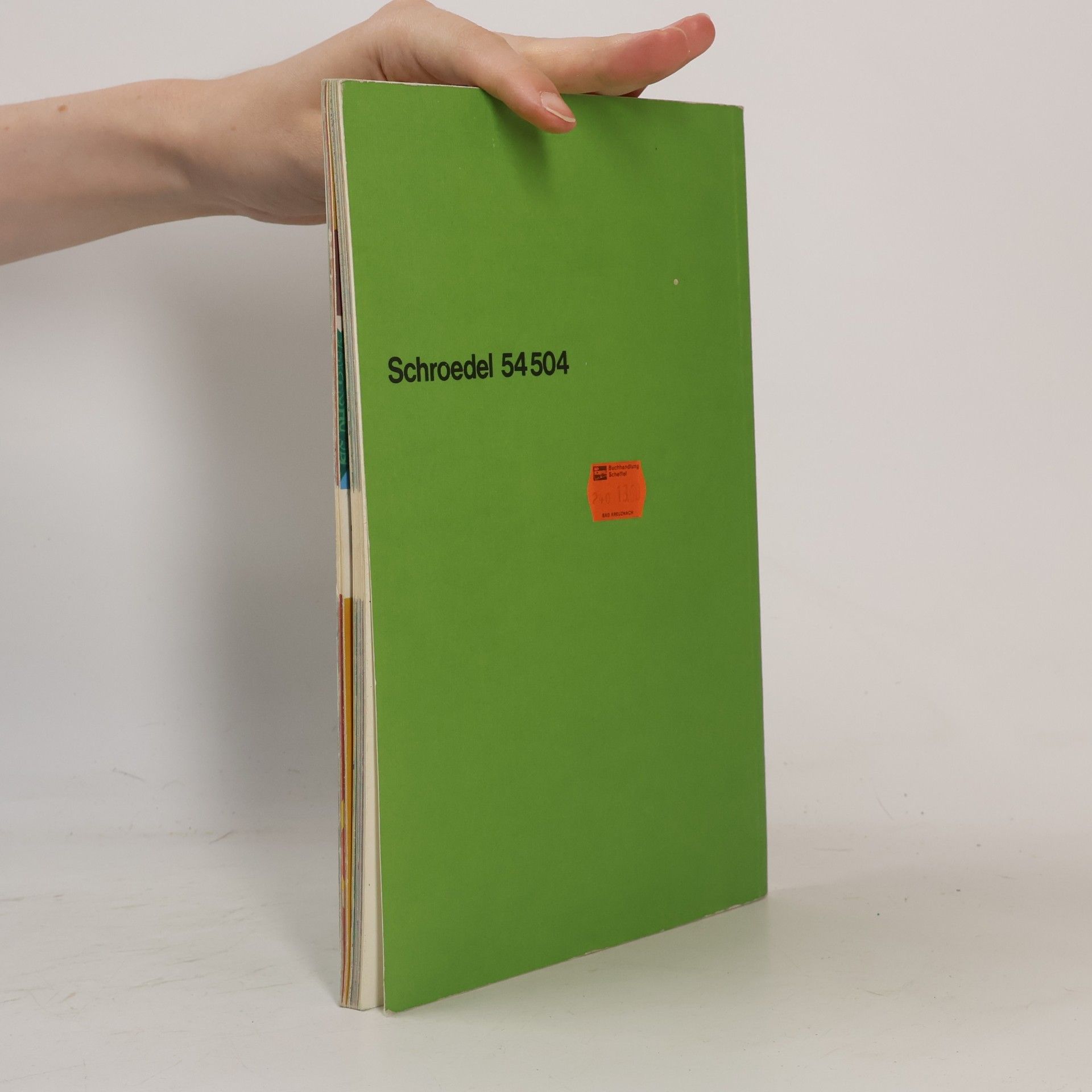 Mein neues Sprachbuch - Bisherige Ausgabe / Mein neues Sprachbuch - Bisherige Ausgabe: Schülerband 4