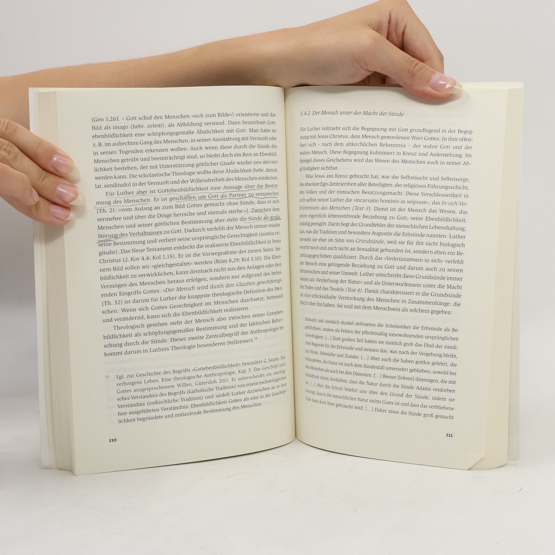 Martin Hoffmann Studienbuch Martin Luther