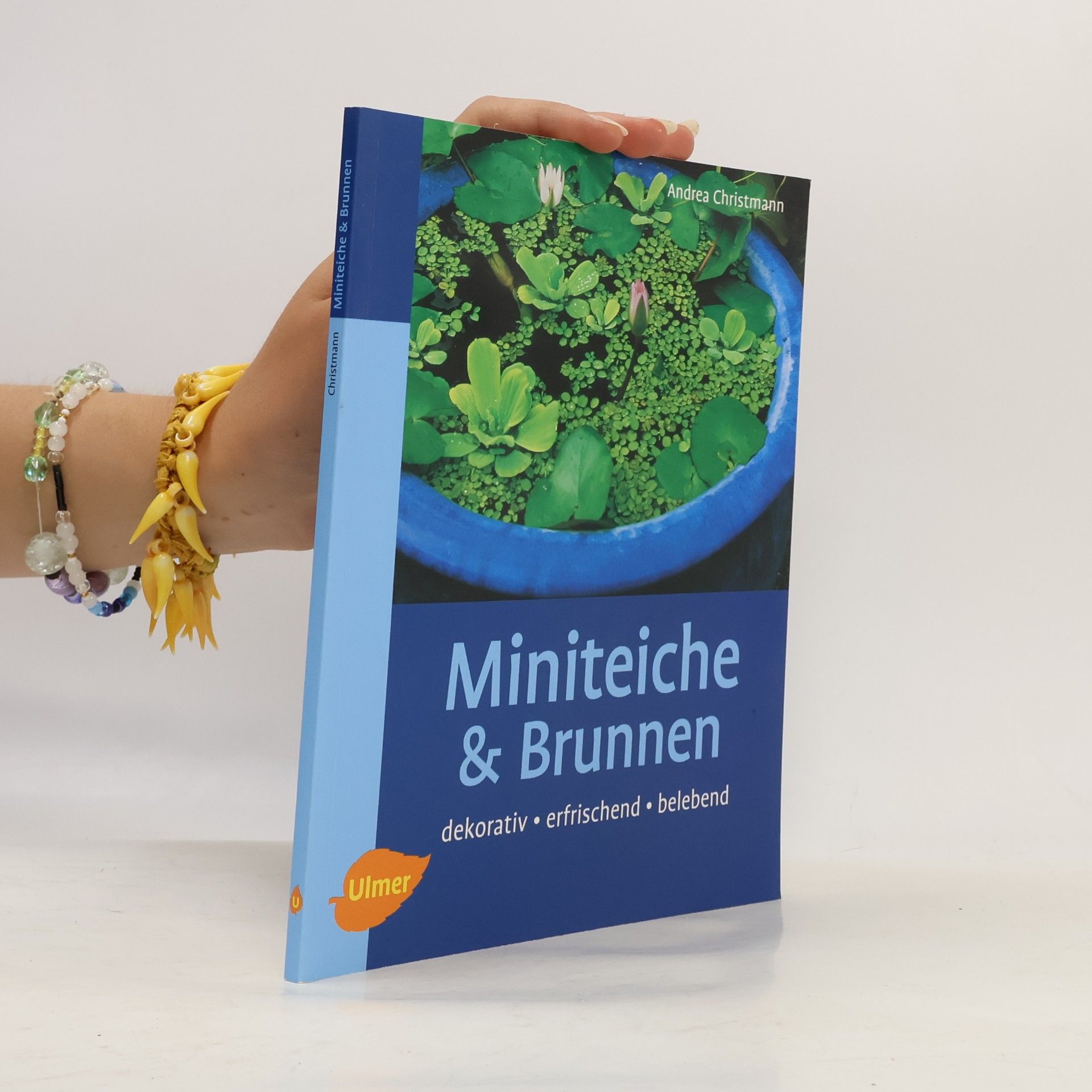 Andrea Christmann Miniteiche und Brunnen