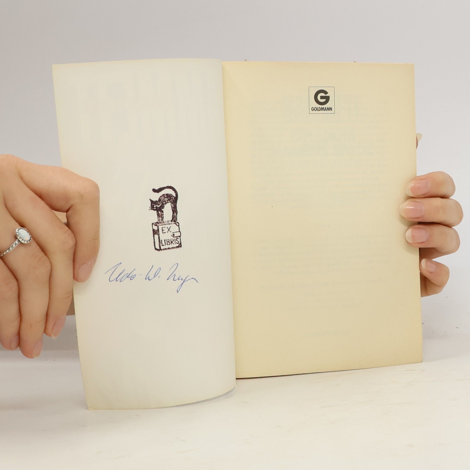 Dashiell Hammett Ein Mann namens Spade