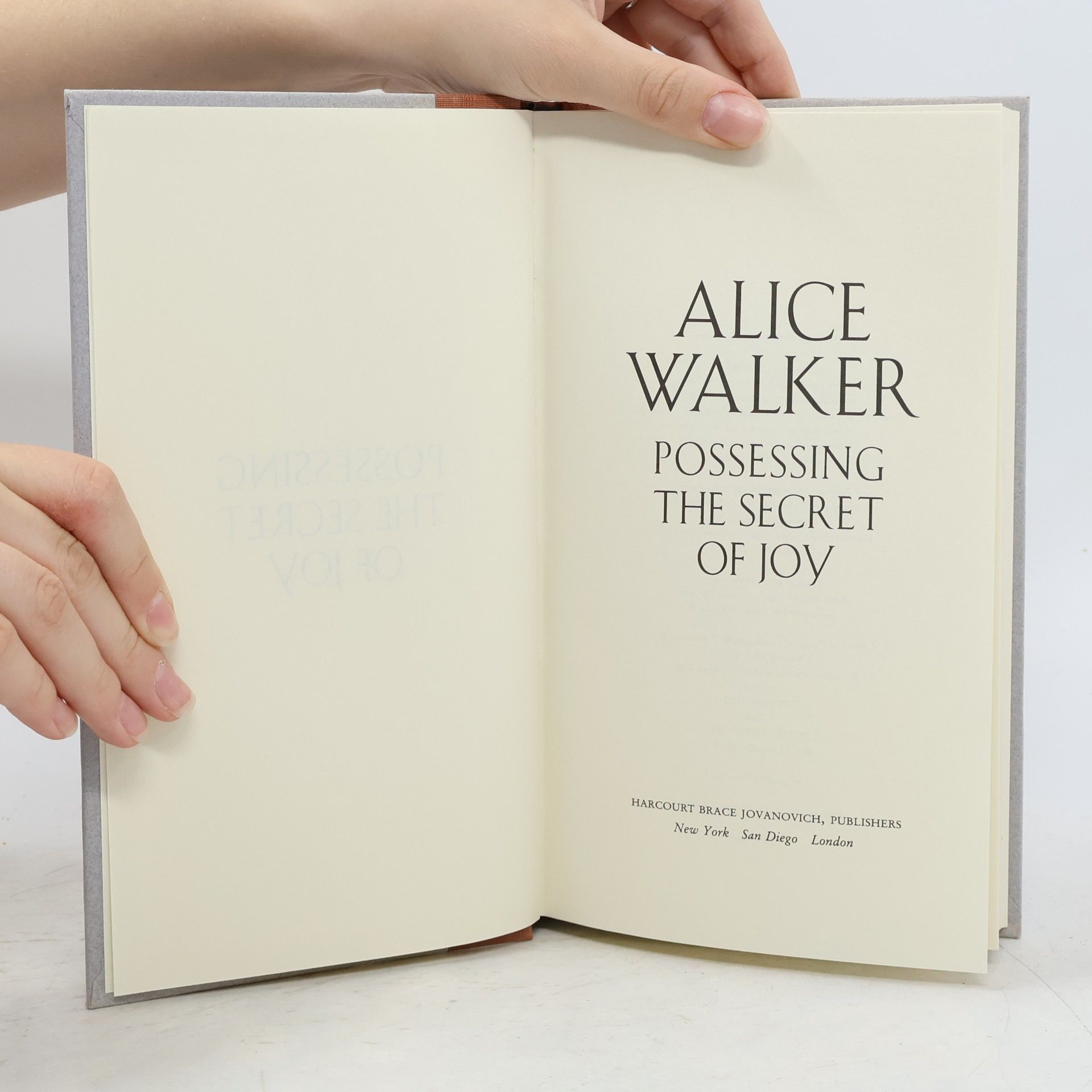 Alice Walker Possessing the Secret of Joy