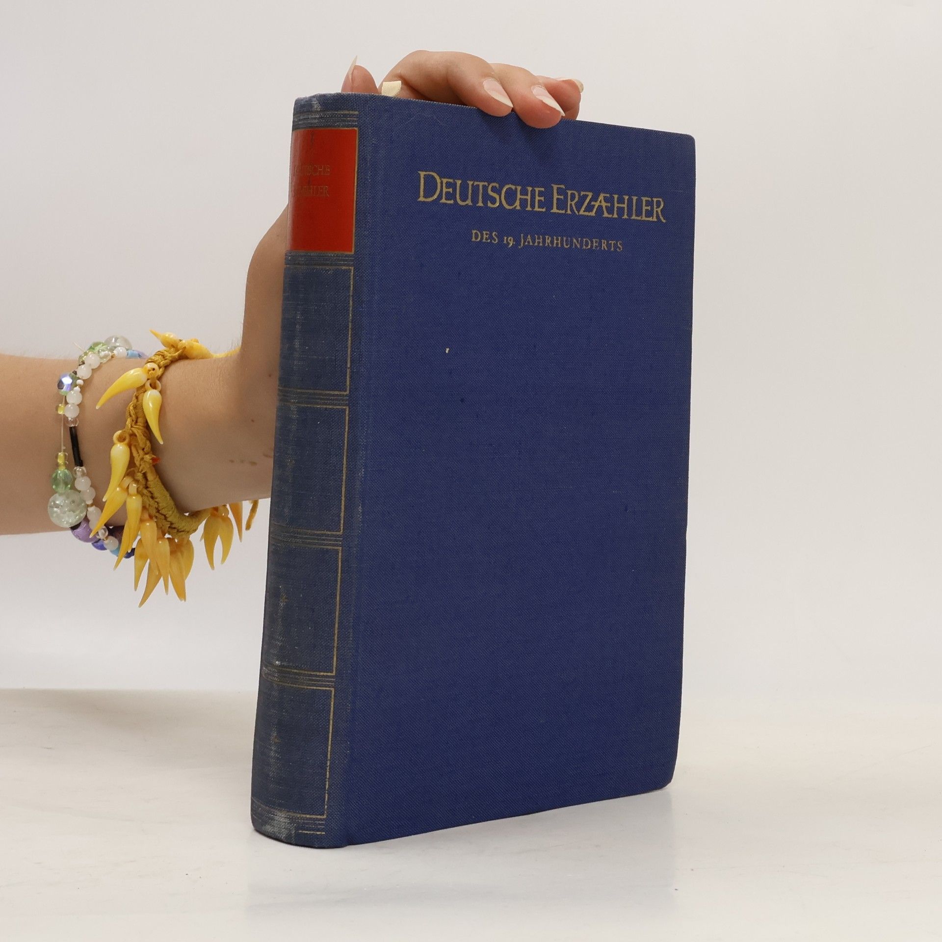 Kolektiv autorů Deutsche Erzähler des 19. Jahrhunderts