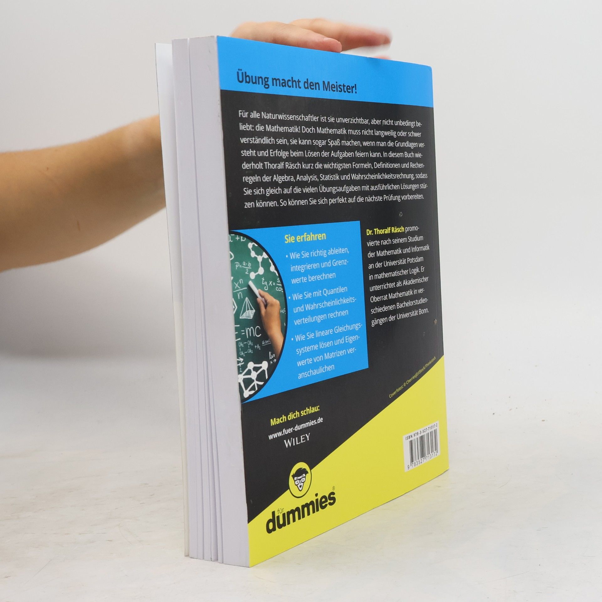 Thoralf Räsch Übungsbuch Mathematik für Naturwissenschaftler für Dummies