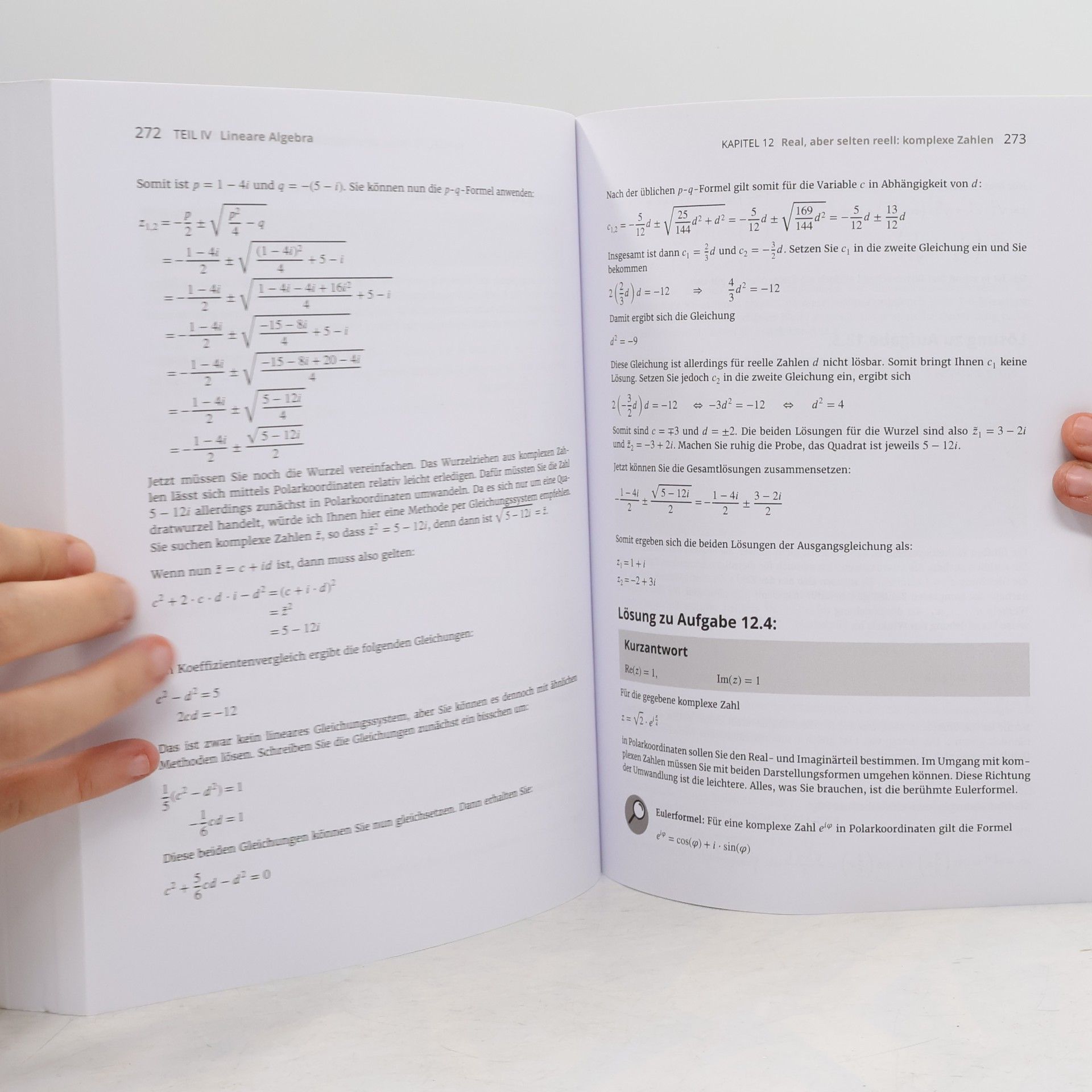 Thoralf Räsch Übungsbuch Mathematik für Naturwissenschaftler für Dummies