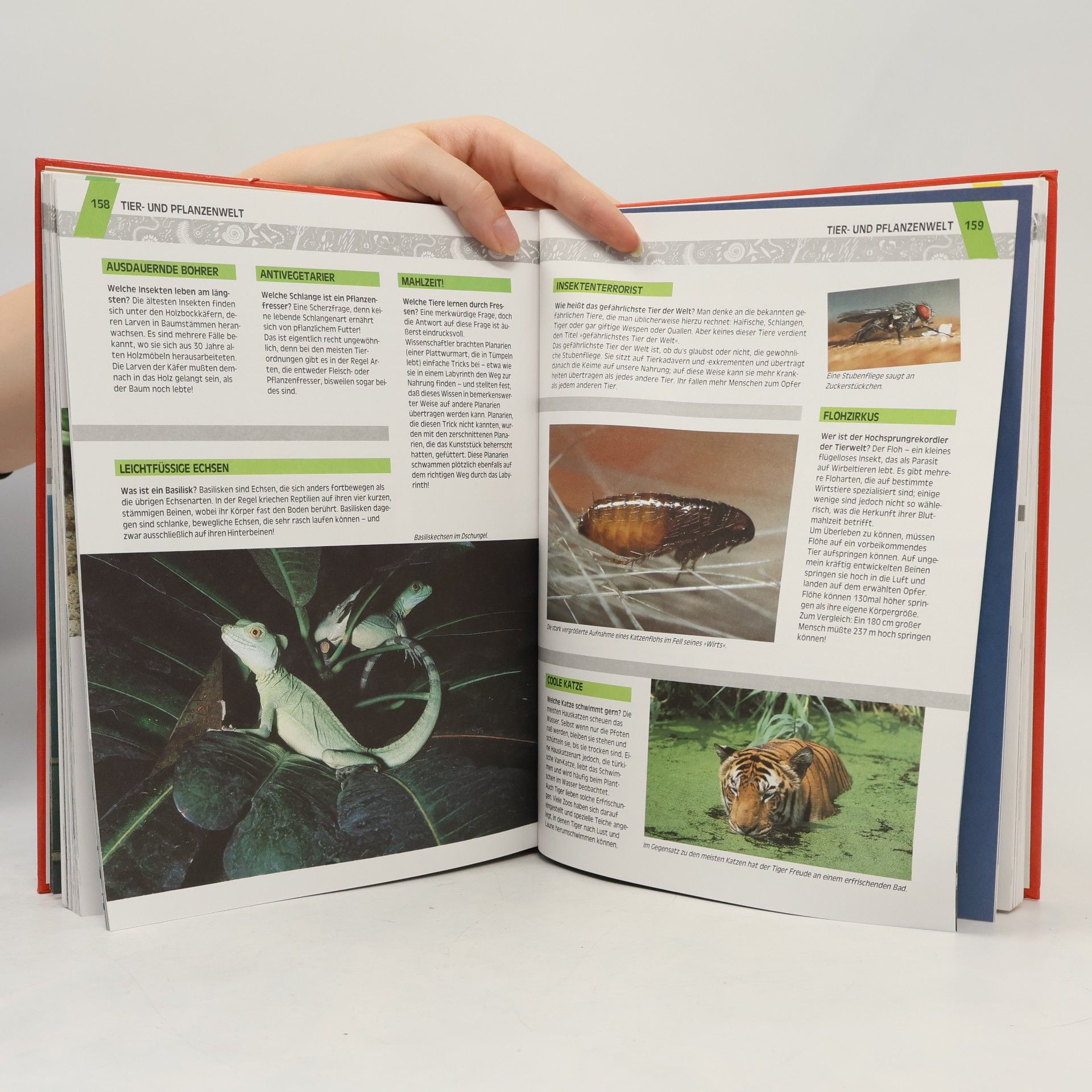 Various authors Das Superbuch des Wissens