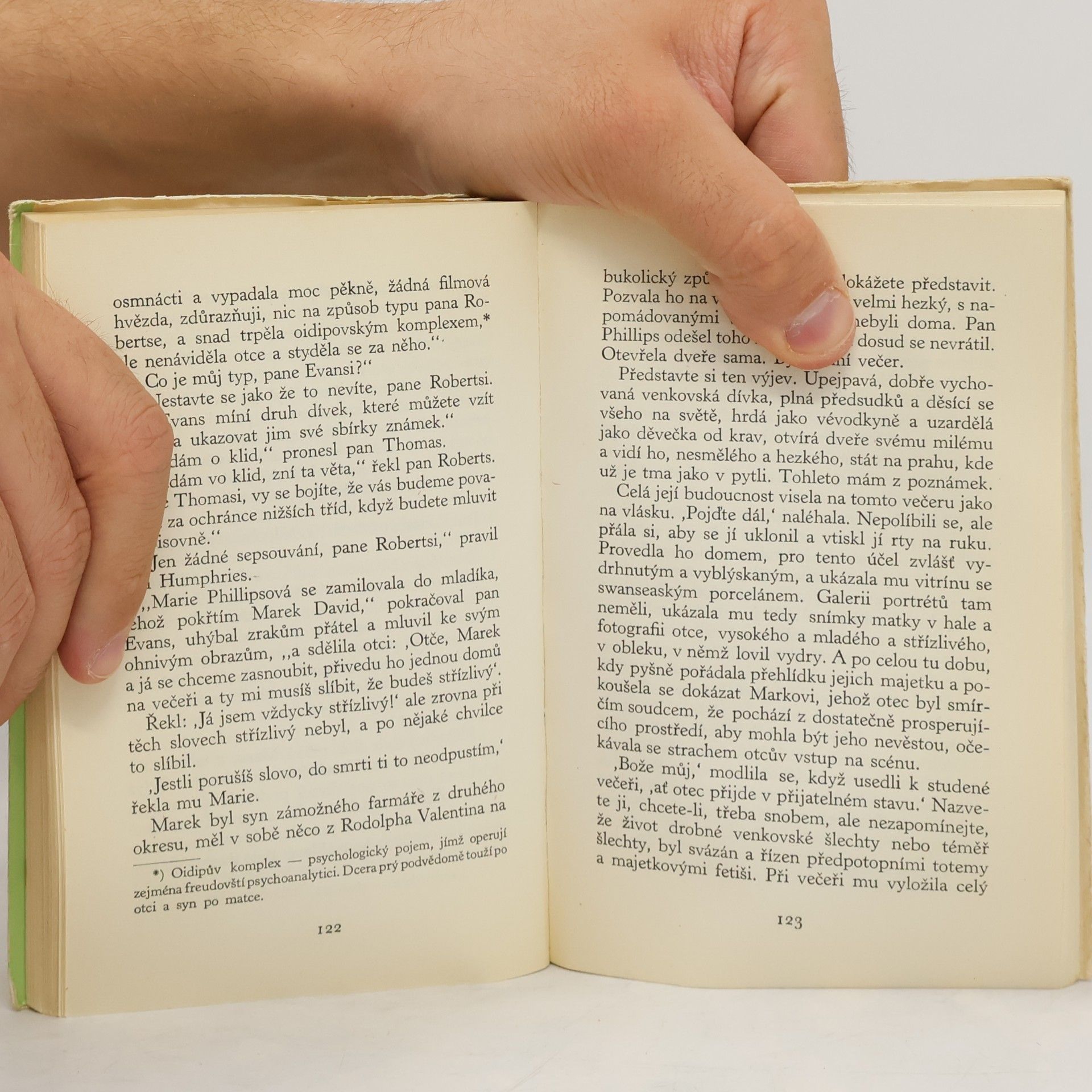 Dylan Thomas Portrét umělce jako štěněte