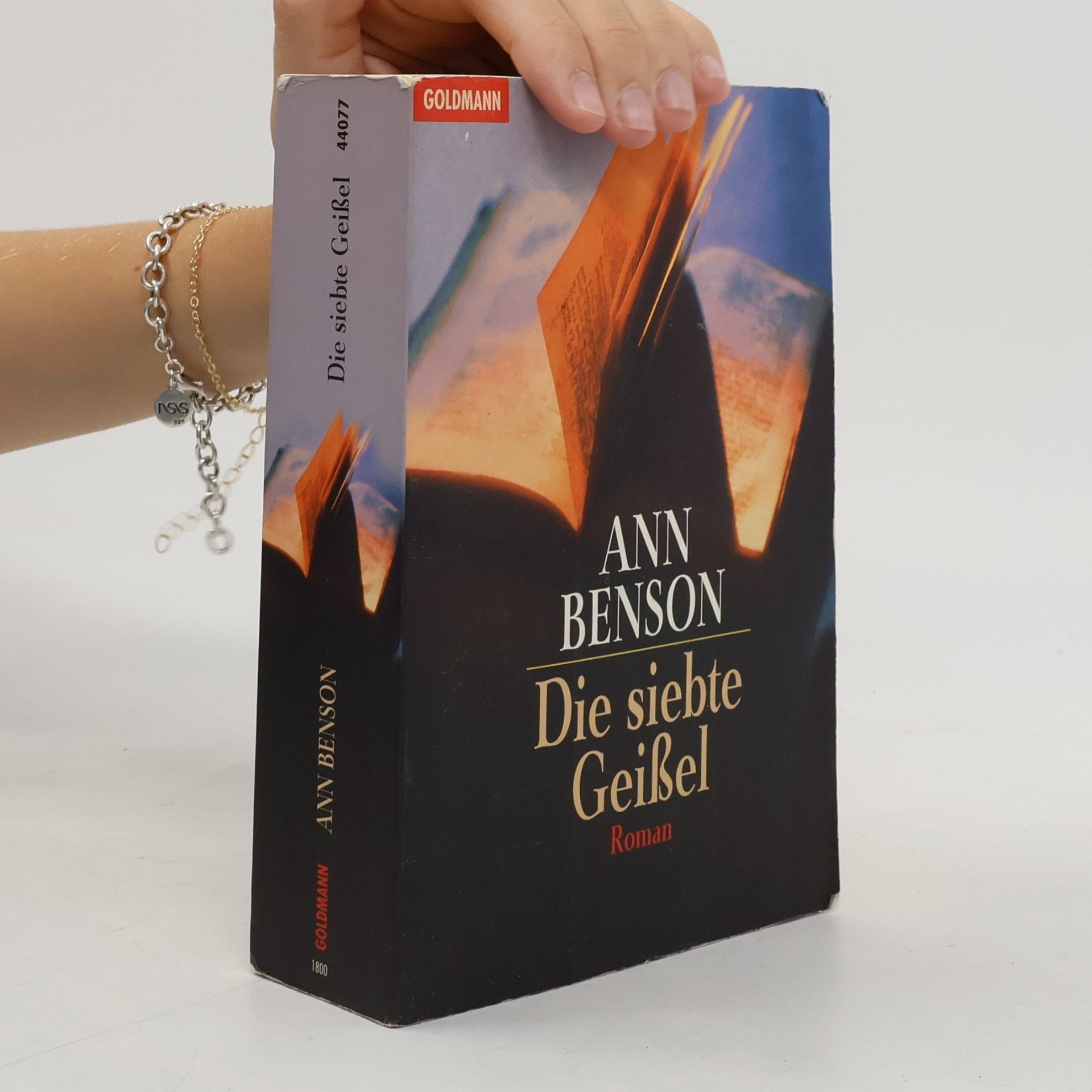 Ann Benson Die siebte Geißel