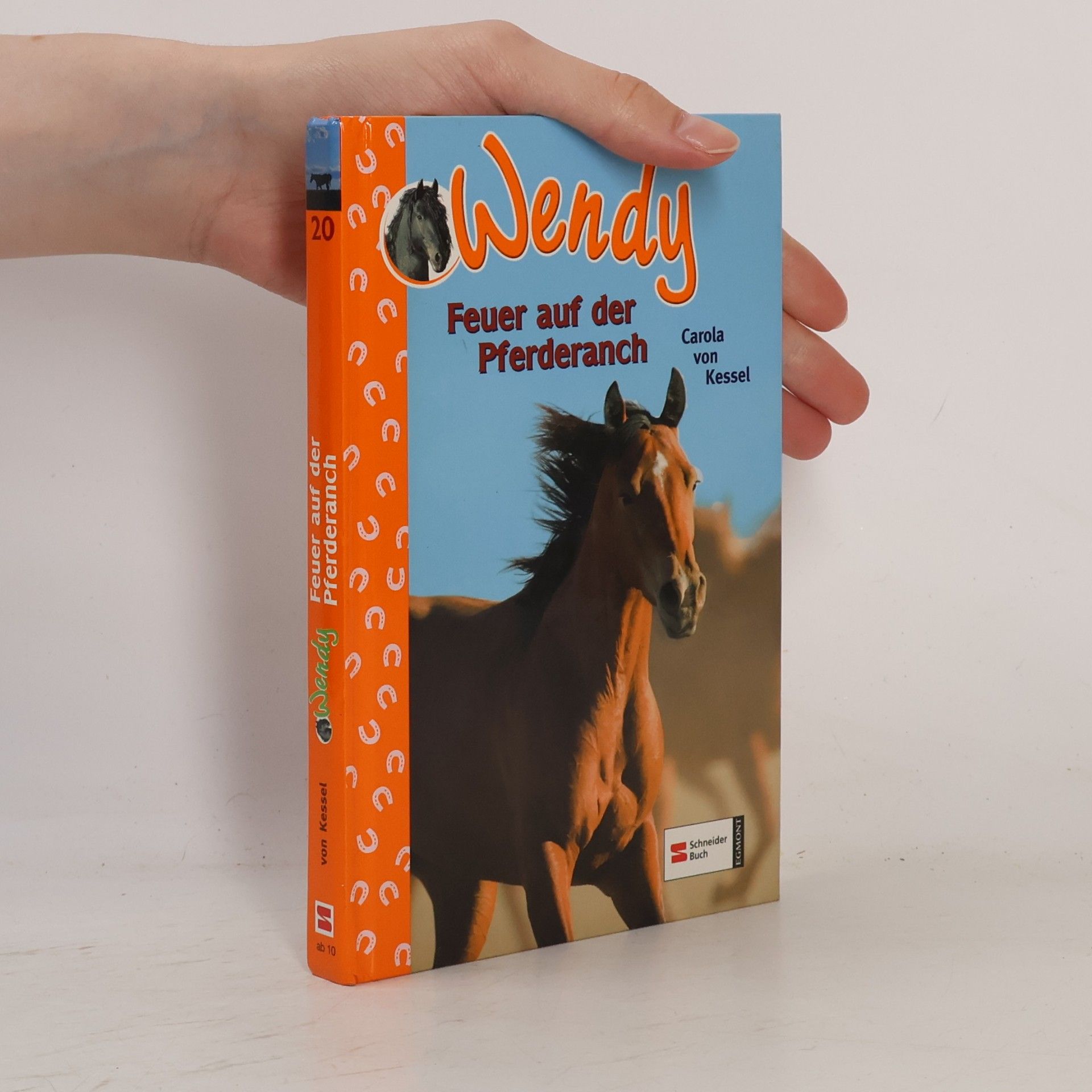 Carola von Kessel Wendy - 20: Feuer auf der Pferderanch