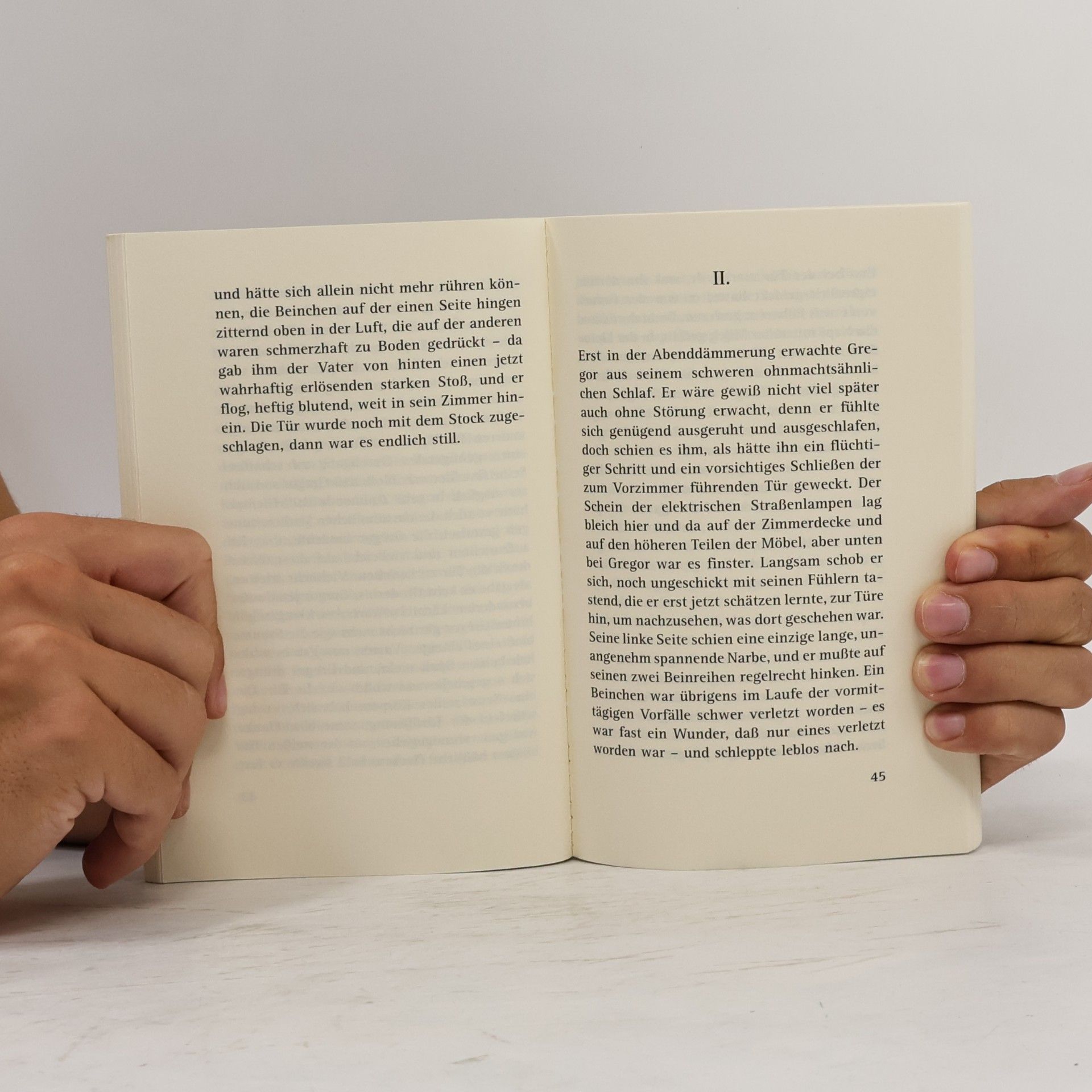 Franz Kafka Die Verwandlung