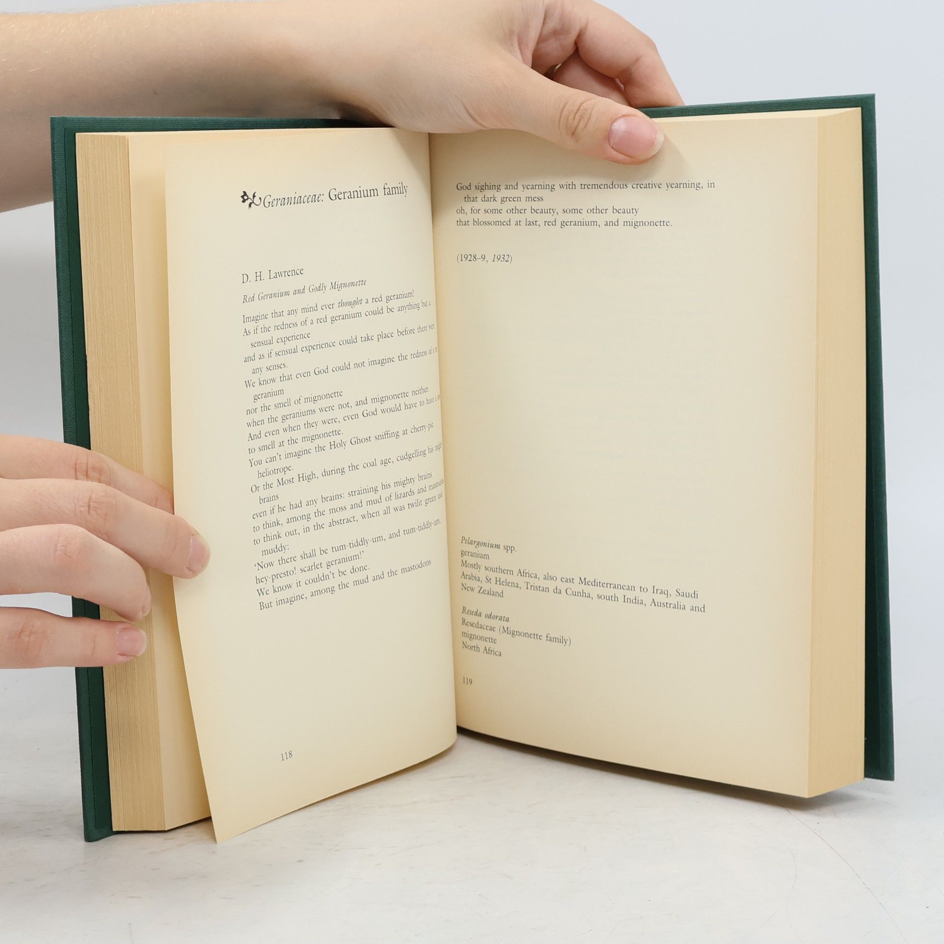 Sarah Maguire Flora Poetica