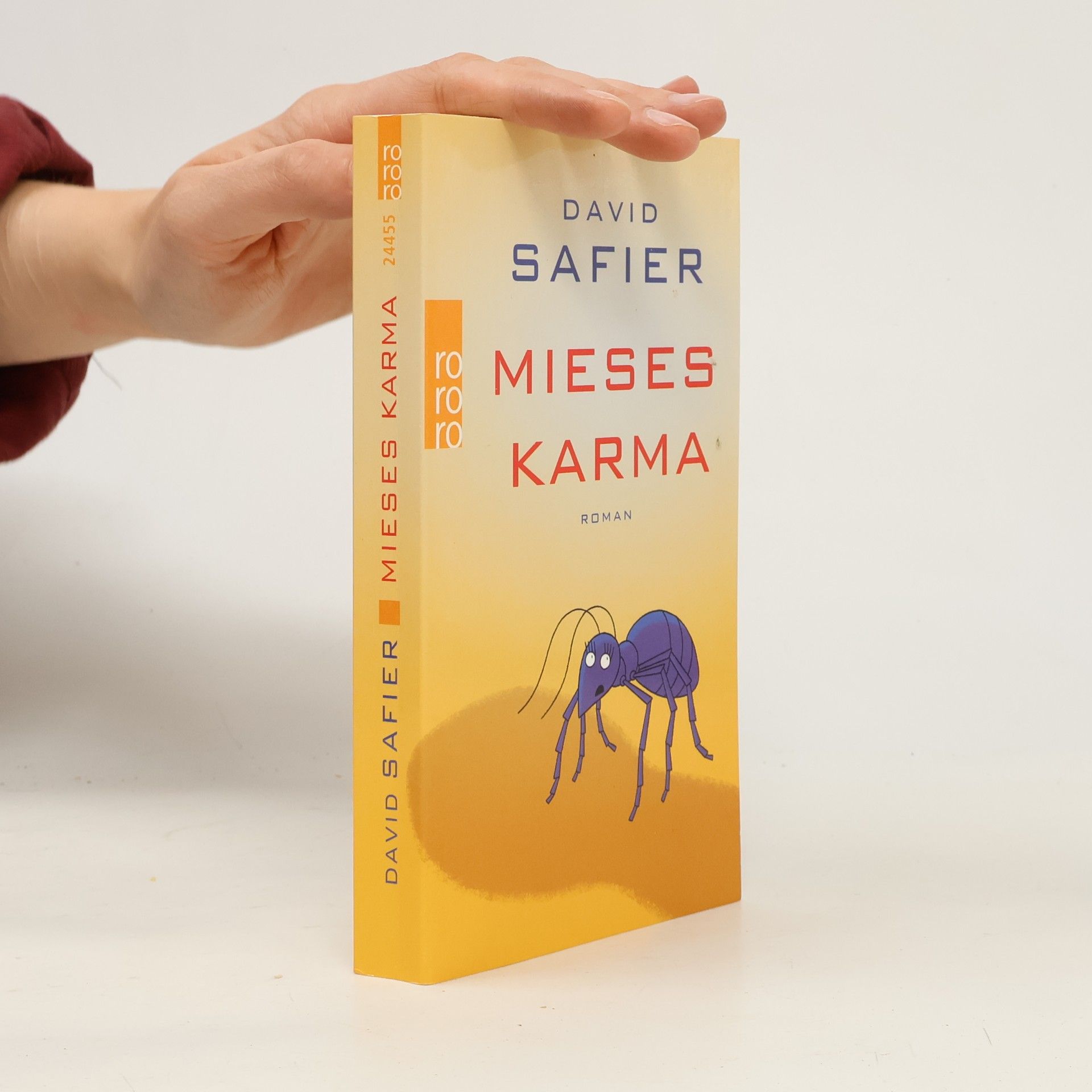 David Safier Mieses Karma