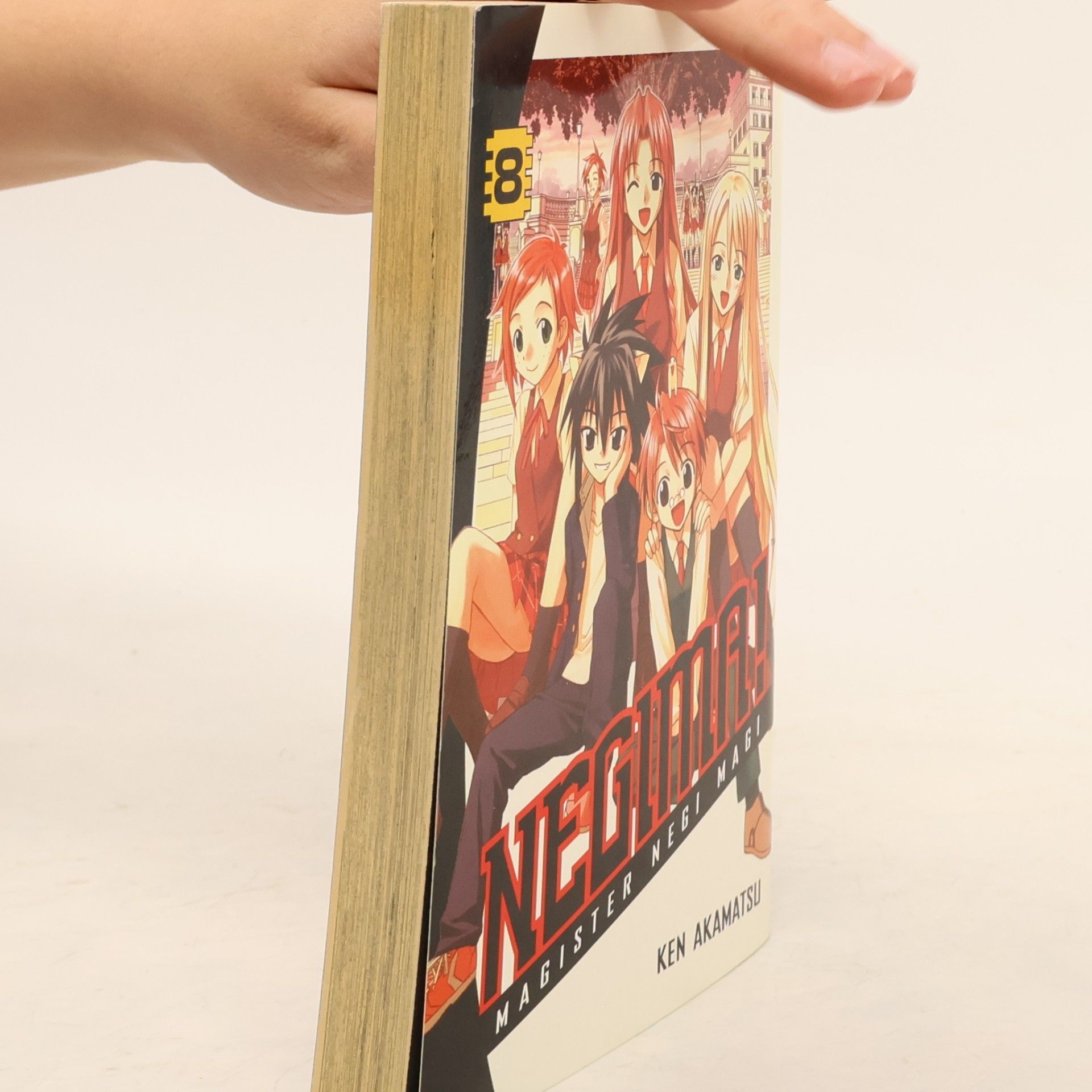 Ken Akamatsu Negima!
