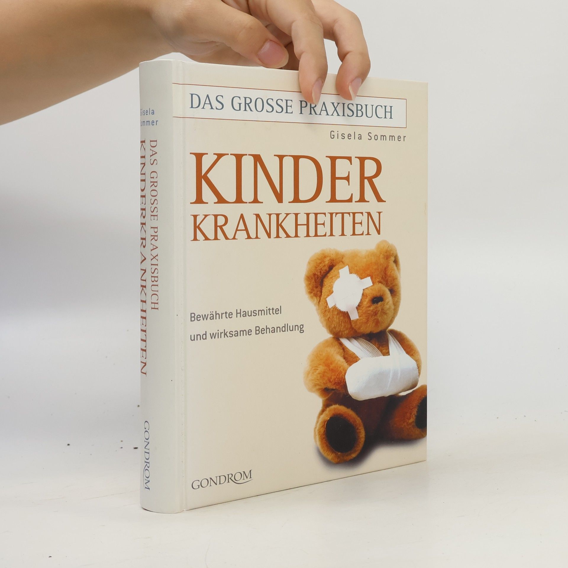 Gisela Sommer Das grosse Praxisbuch Kinderkrankheiten