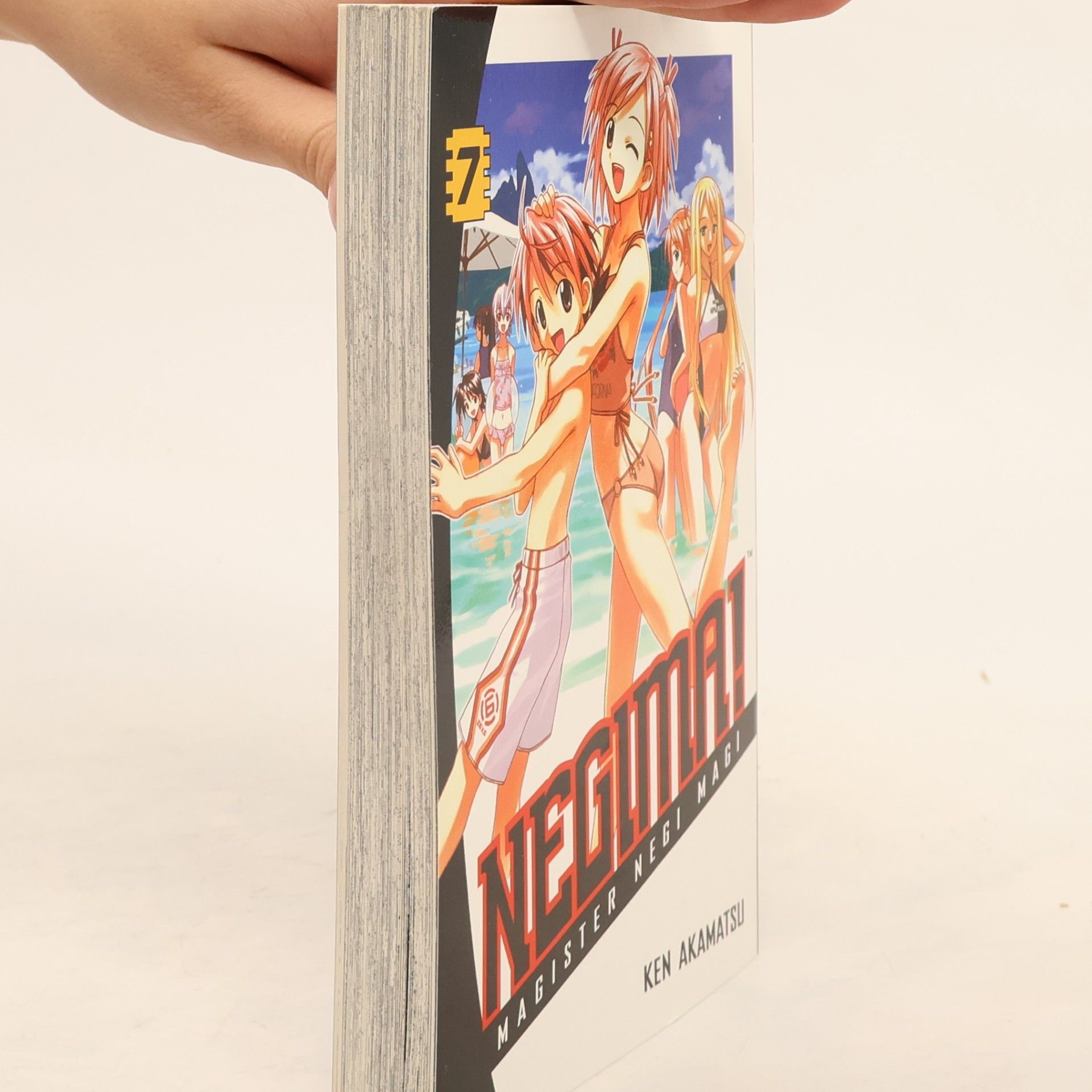 Ken Akamatsu Negima!