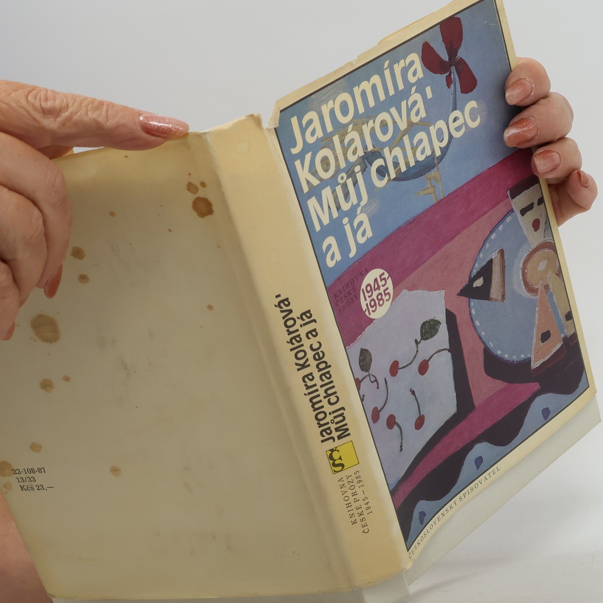 Jaromíra Kolárová Můj chlapec a já