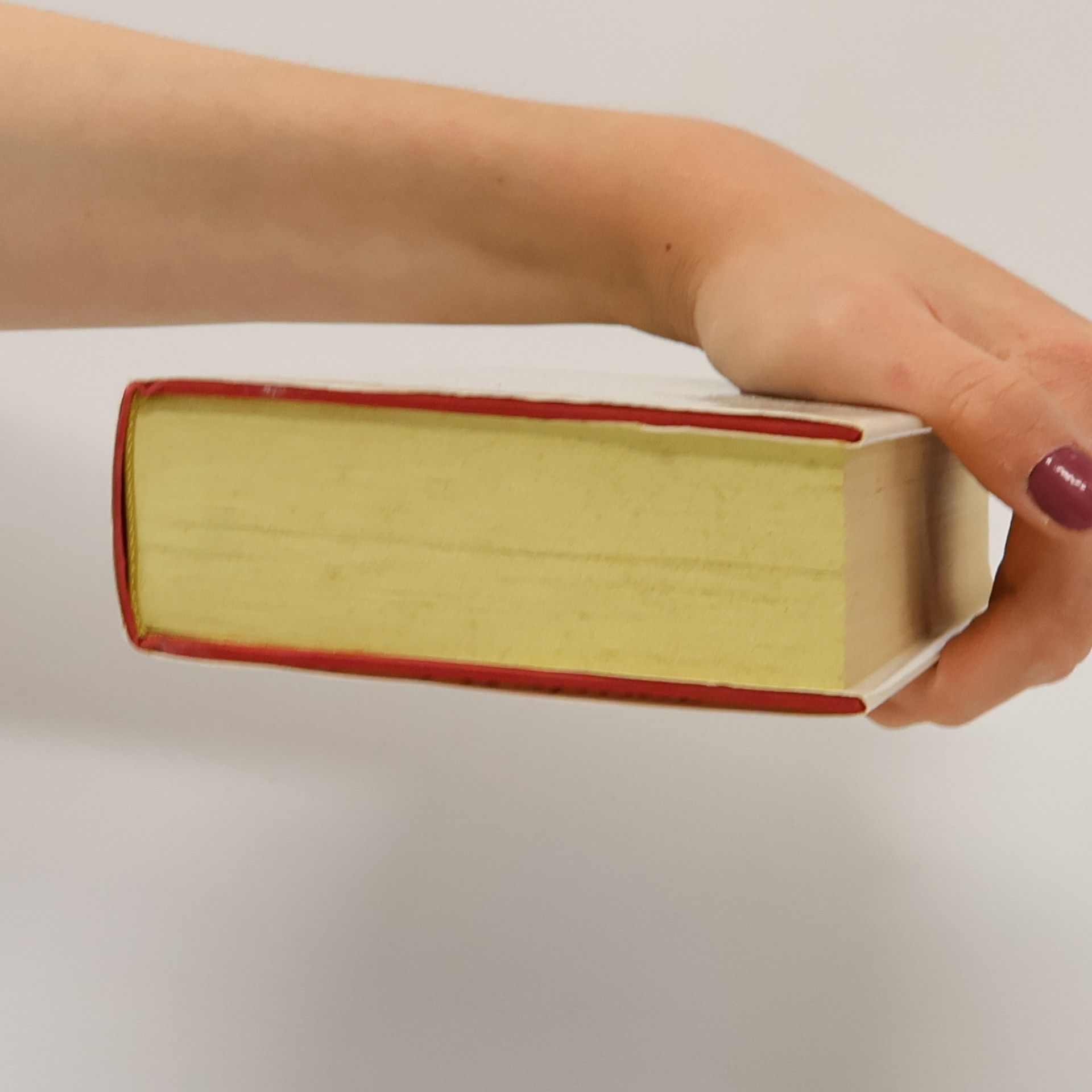 Karl Rahner Praxis des Glaubens. Geistliches Lesebuch