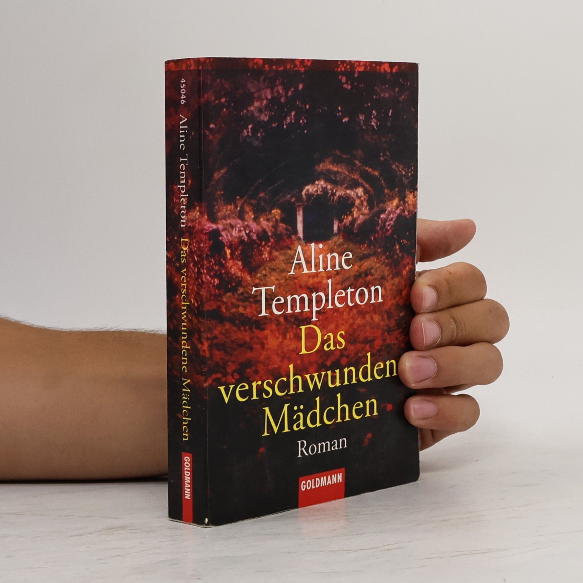 Das verschwundene Mädchen