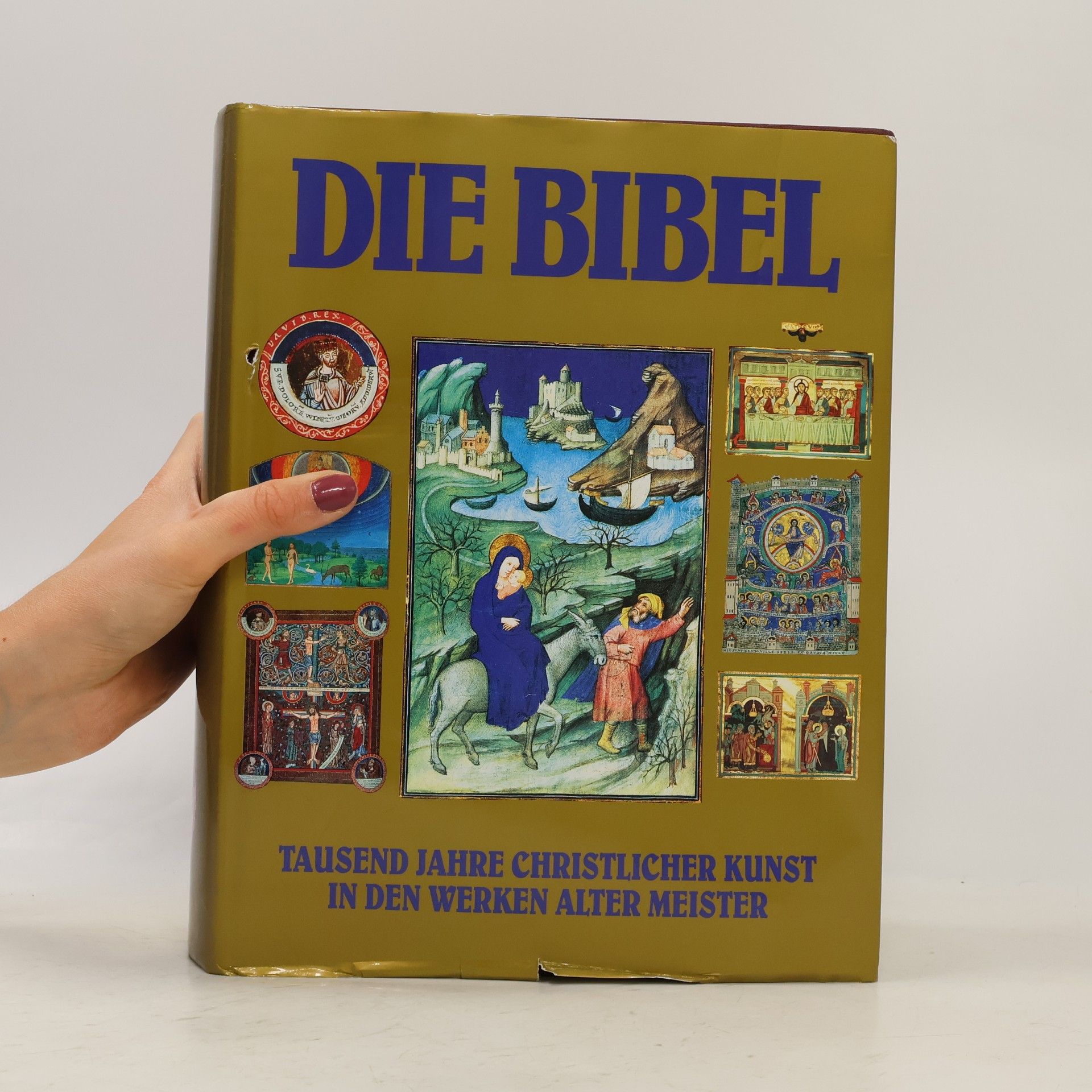 Kolektiv autorů Die Bibel : Tausend Jahre christlicher Kunst in den Werken alter Meister