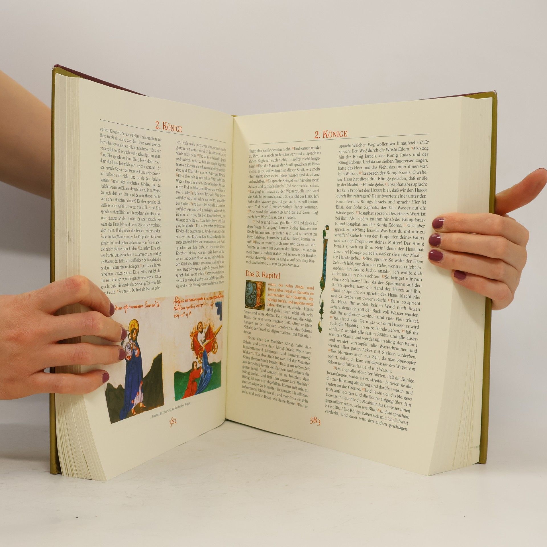 Kolektiv autorů Die Bibel : Tausend Jahre christlicher Kunst in den Werken alter Meister