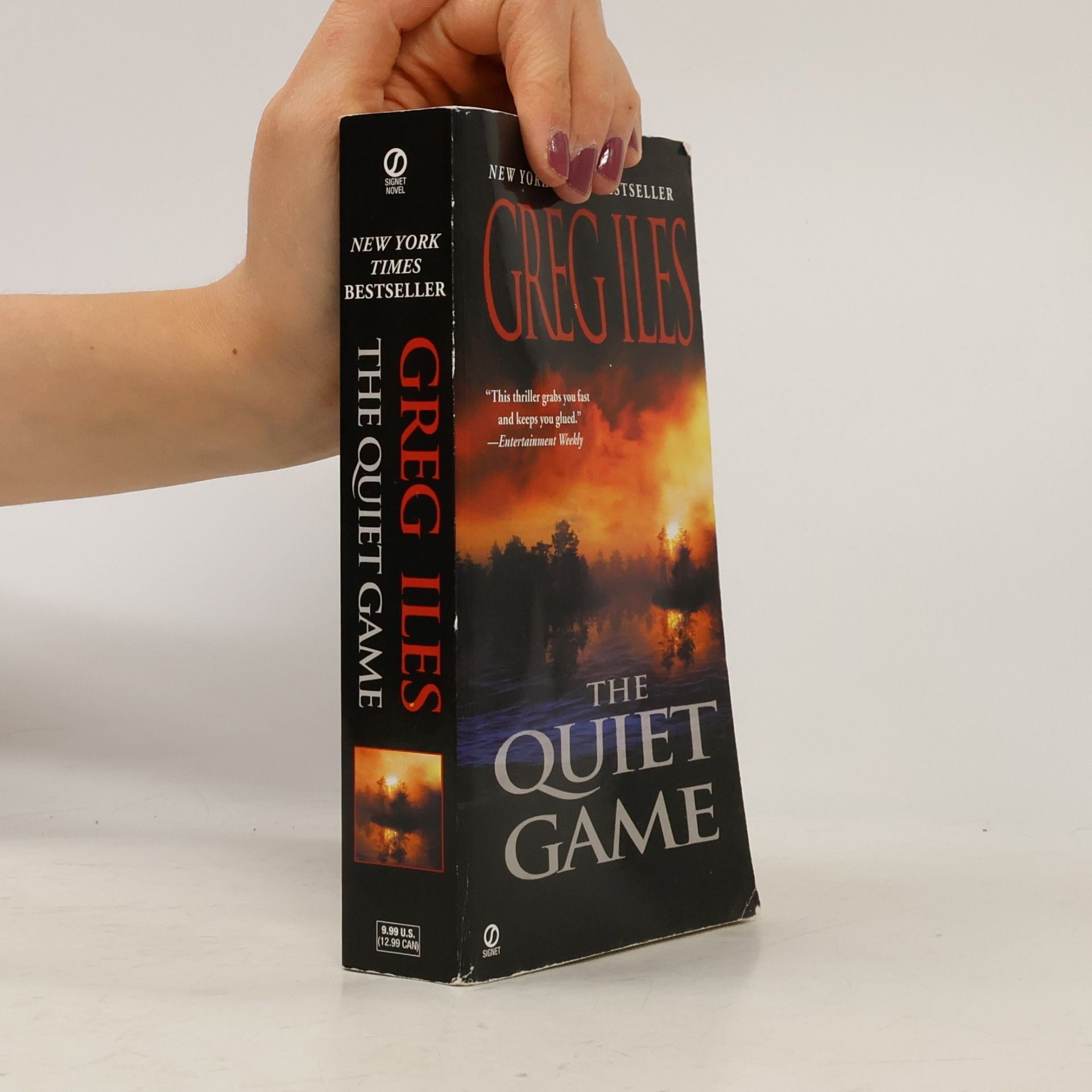 Greg Iles The Quiet Game