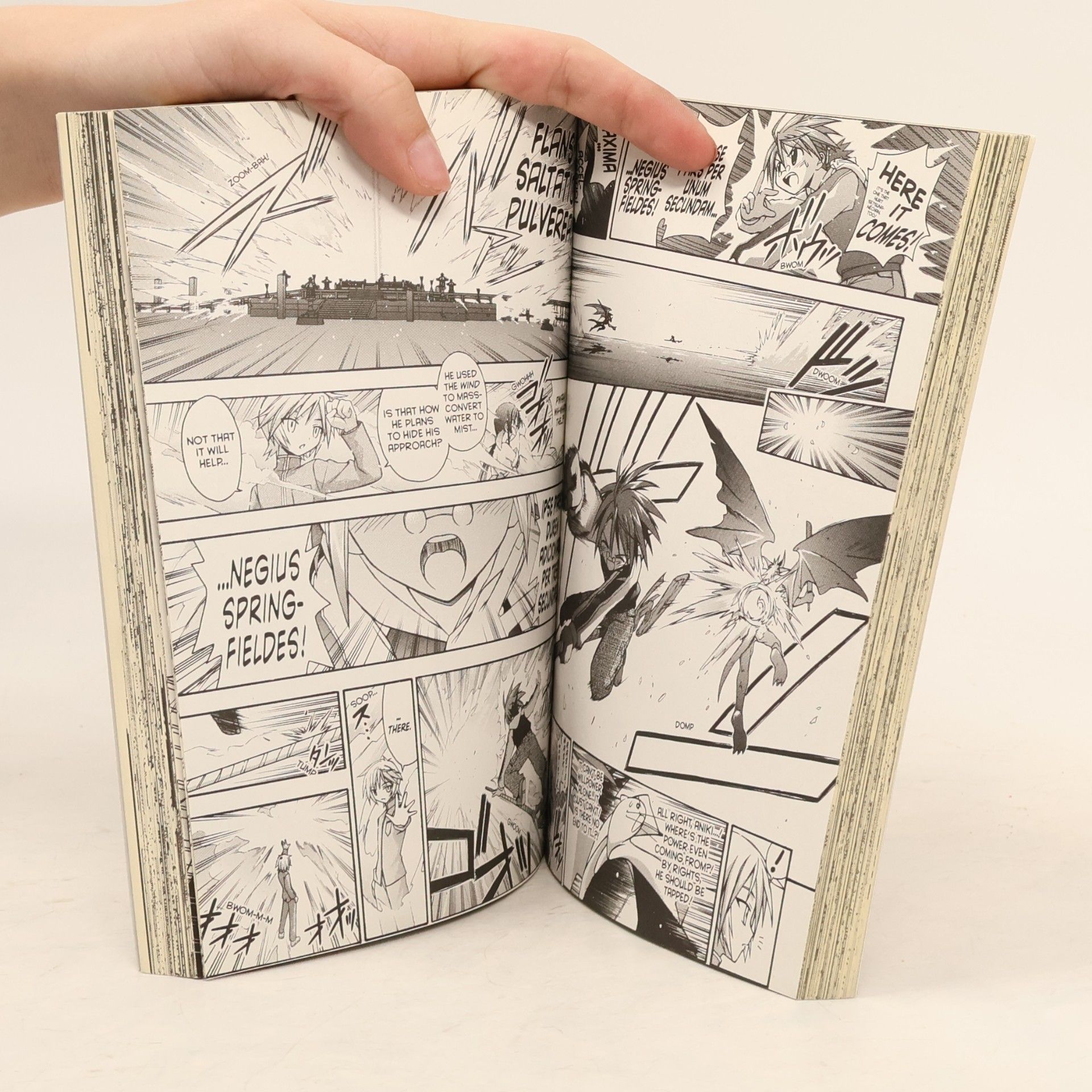 Ken Akamatsu Negima! 6