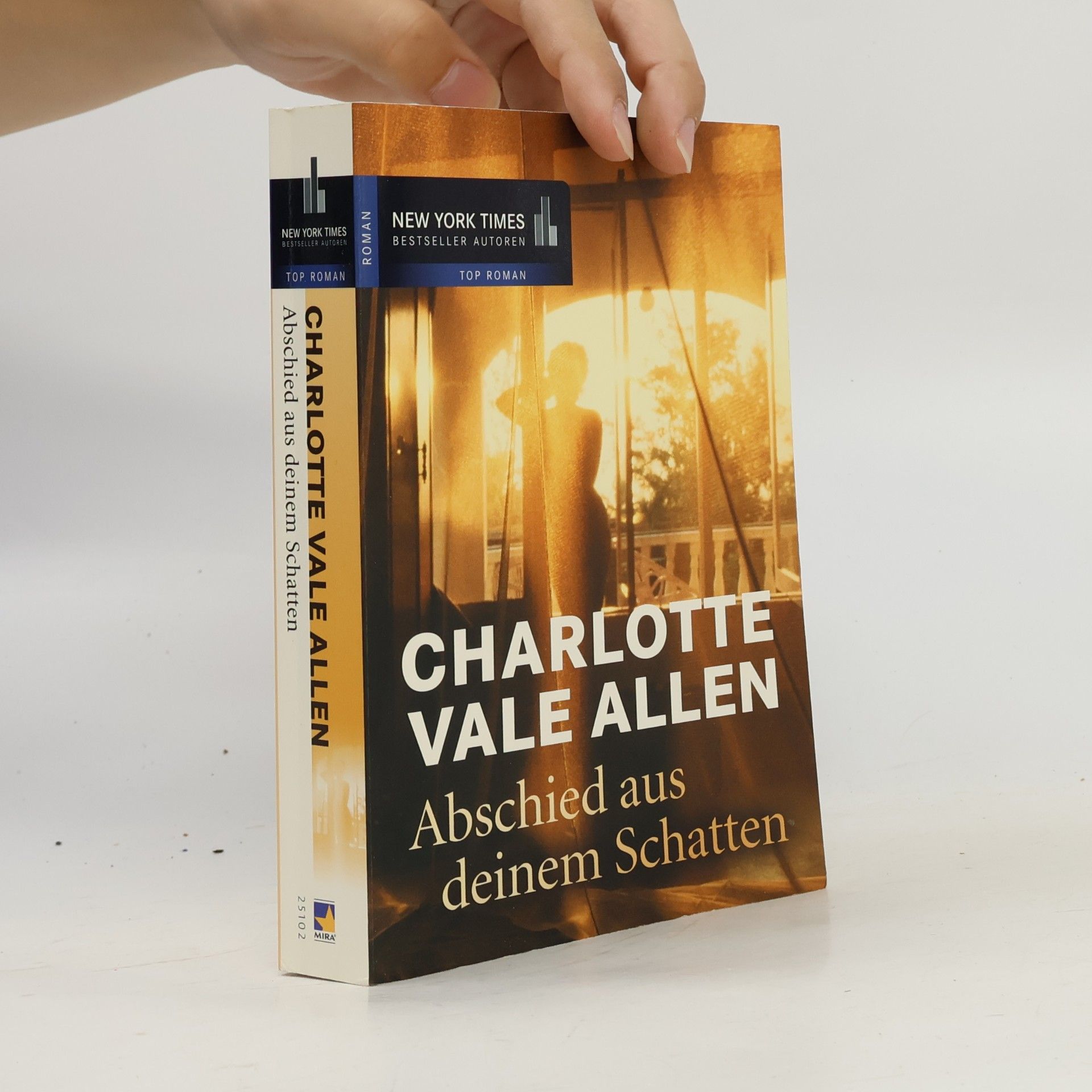 Abschied aus deinem Schatten