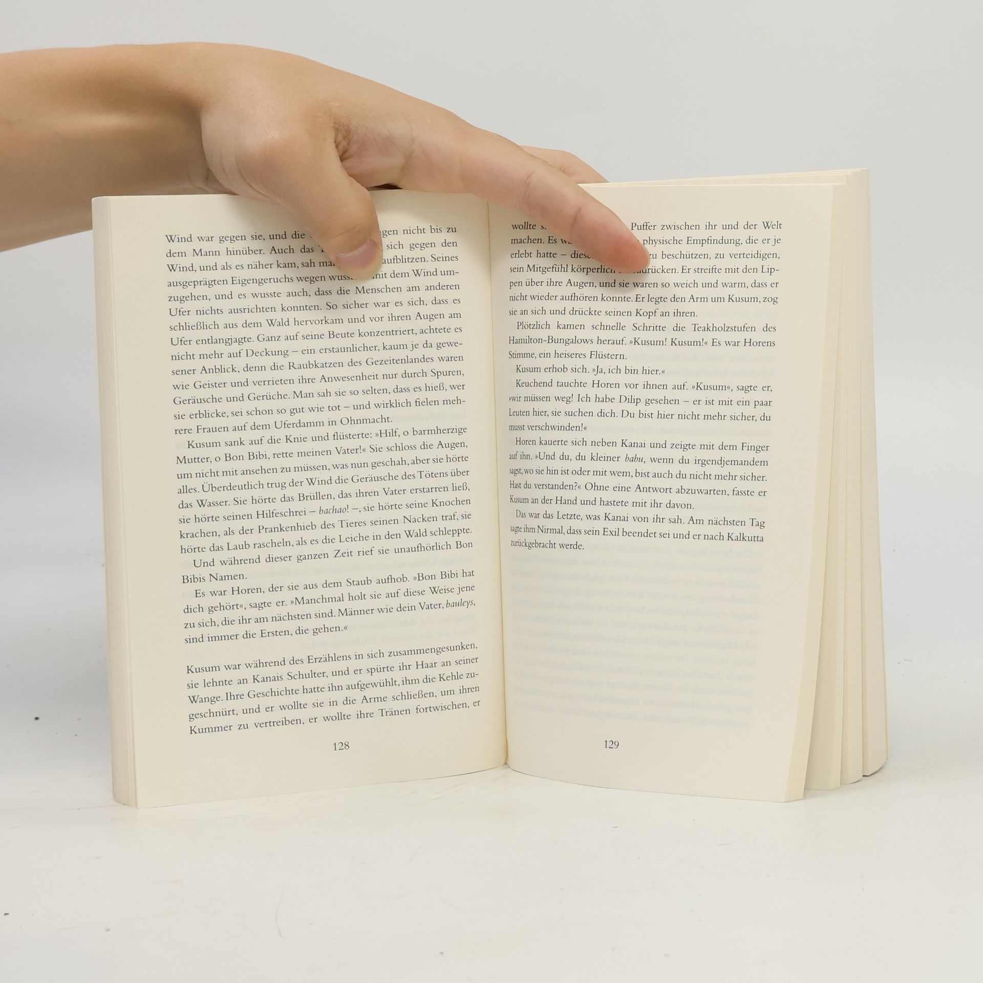 Amitav Ghosh Hunger der Gezeiten